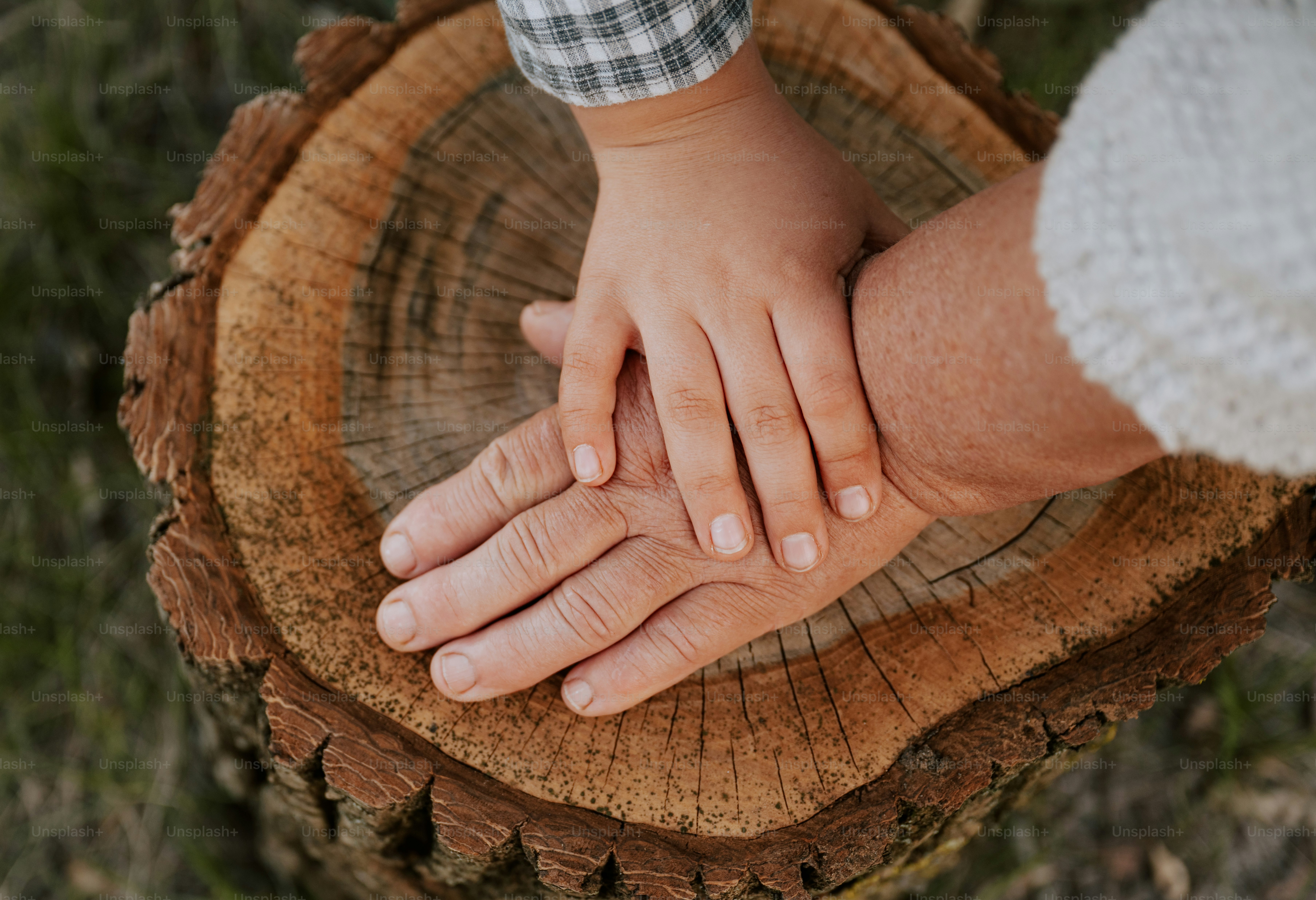 Die Hände sind auf einem Baumstumpf gestapelt.