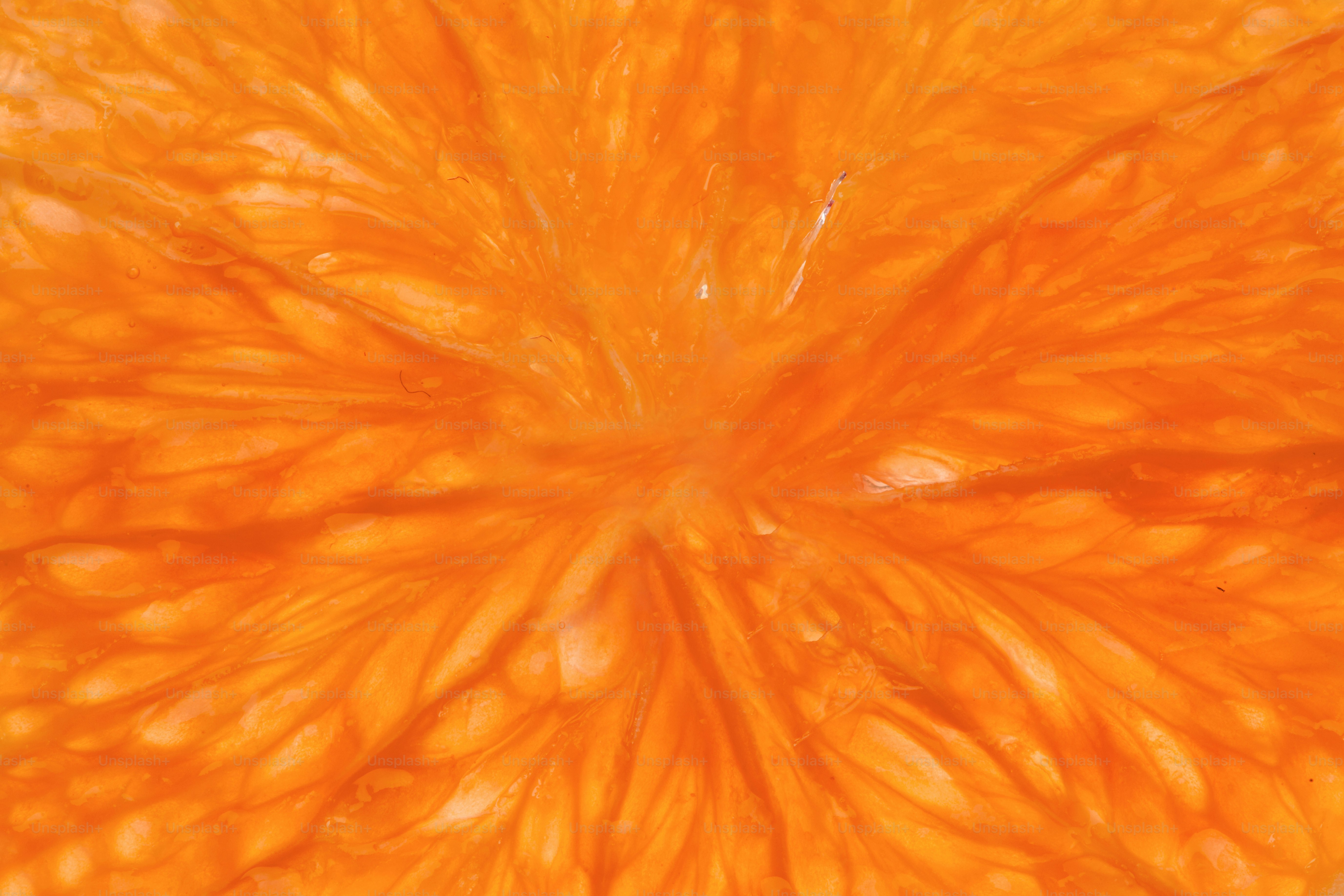 Close-up view of an orange slice.