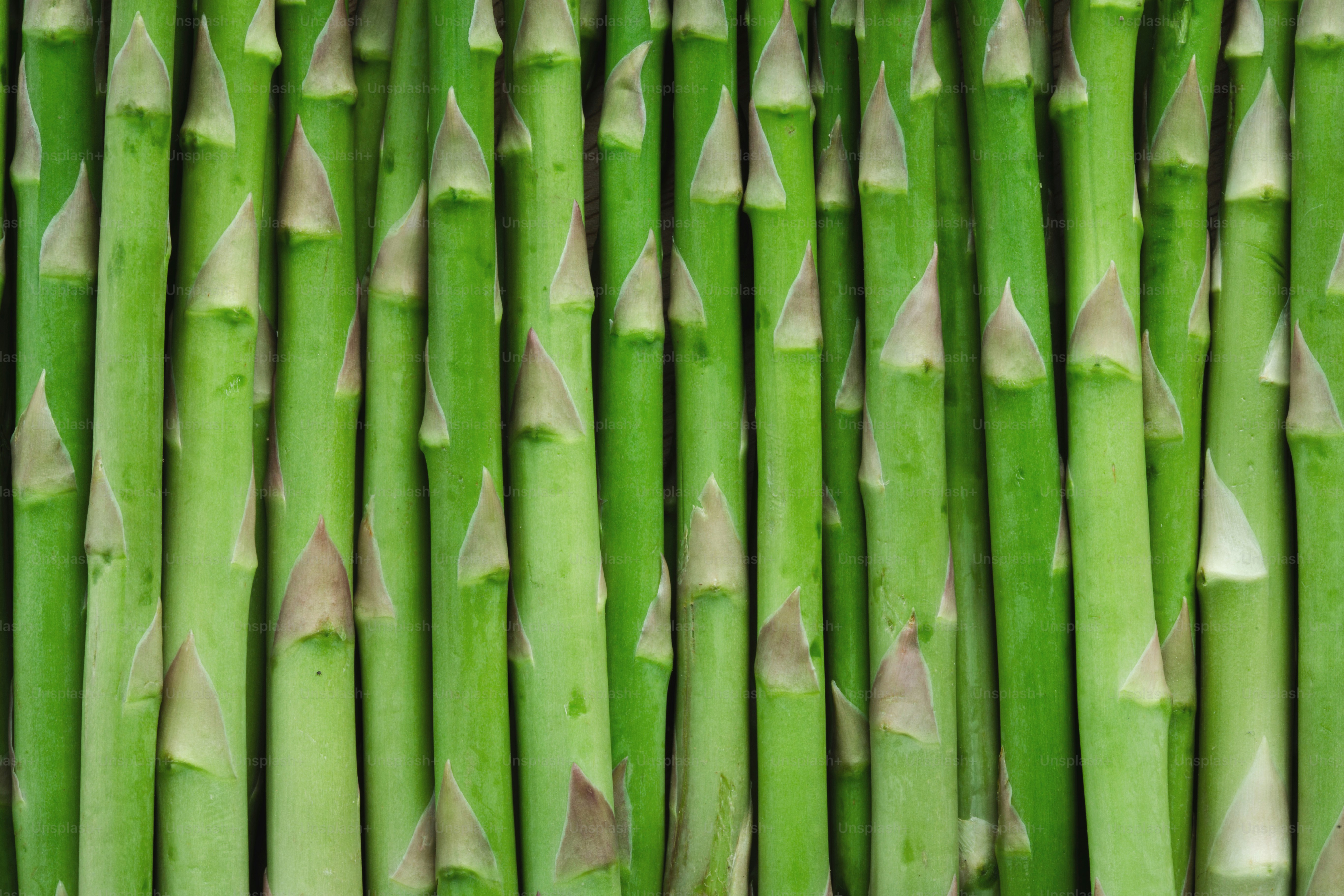 I gambi di asparagi freschi sono esposti in modo ordinato.