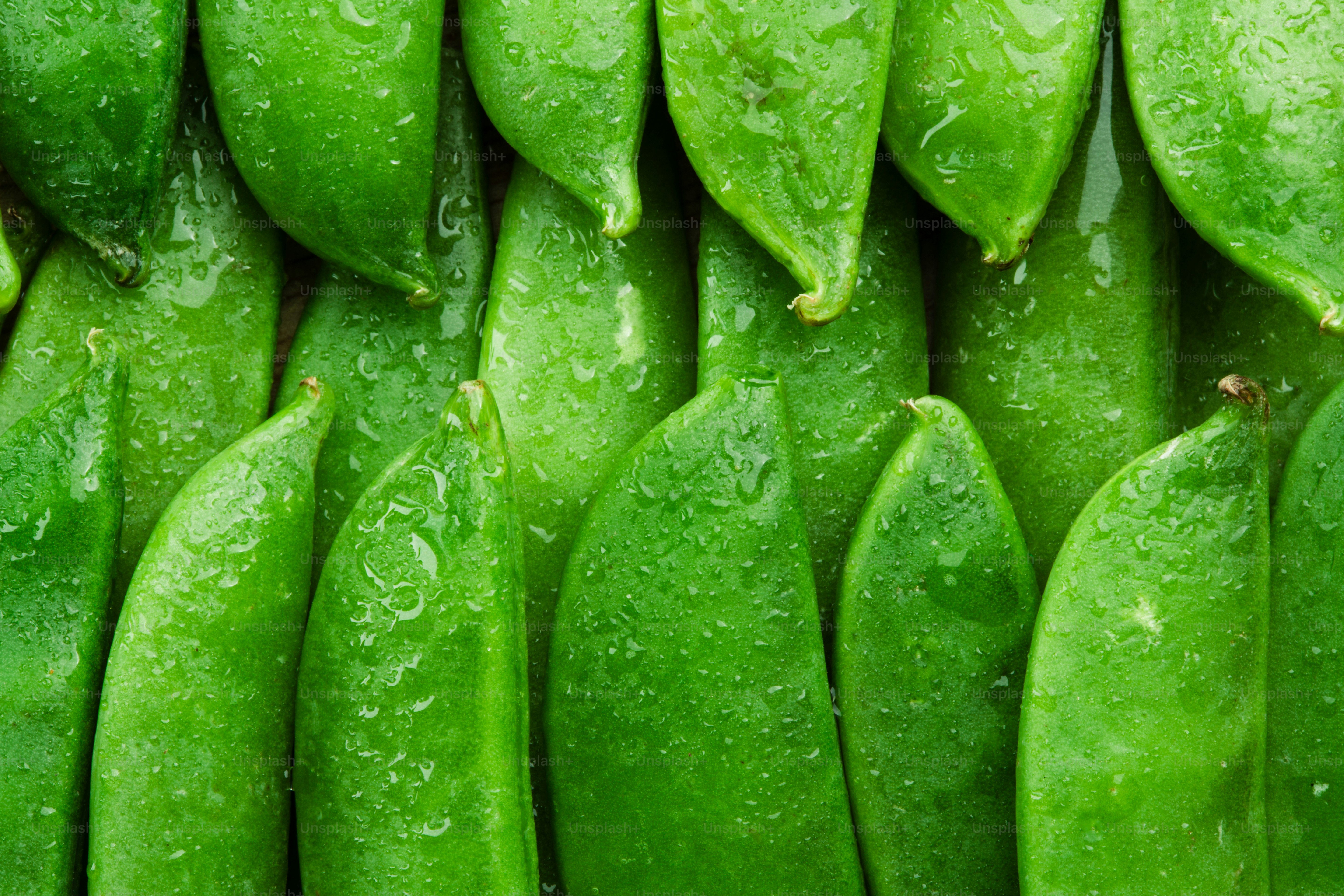 Fresh snow peas