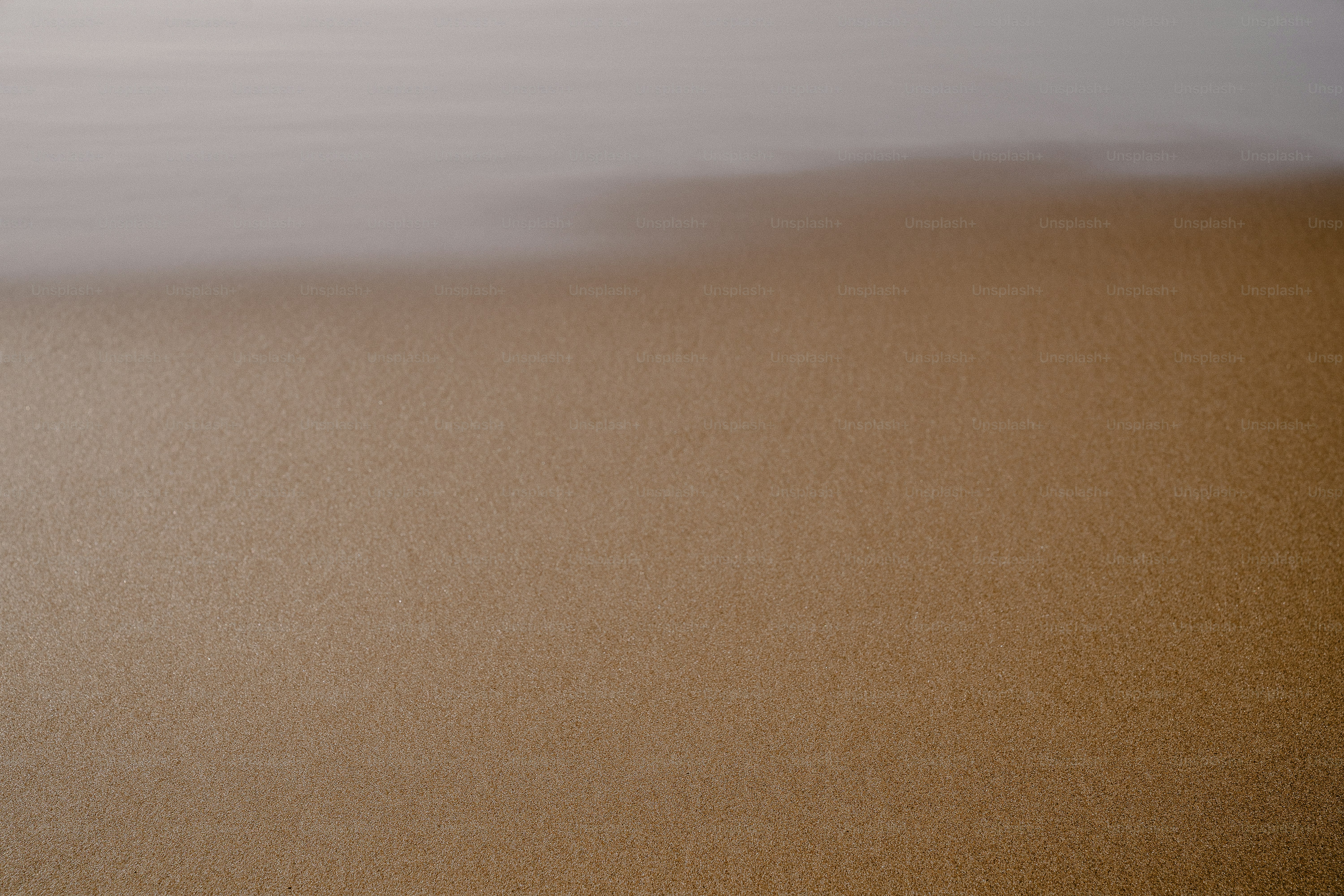 A dusty, brown texture fills the frame.