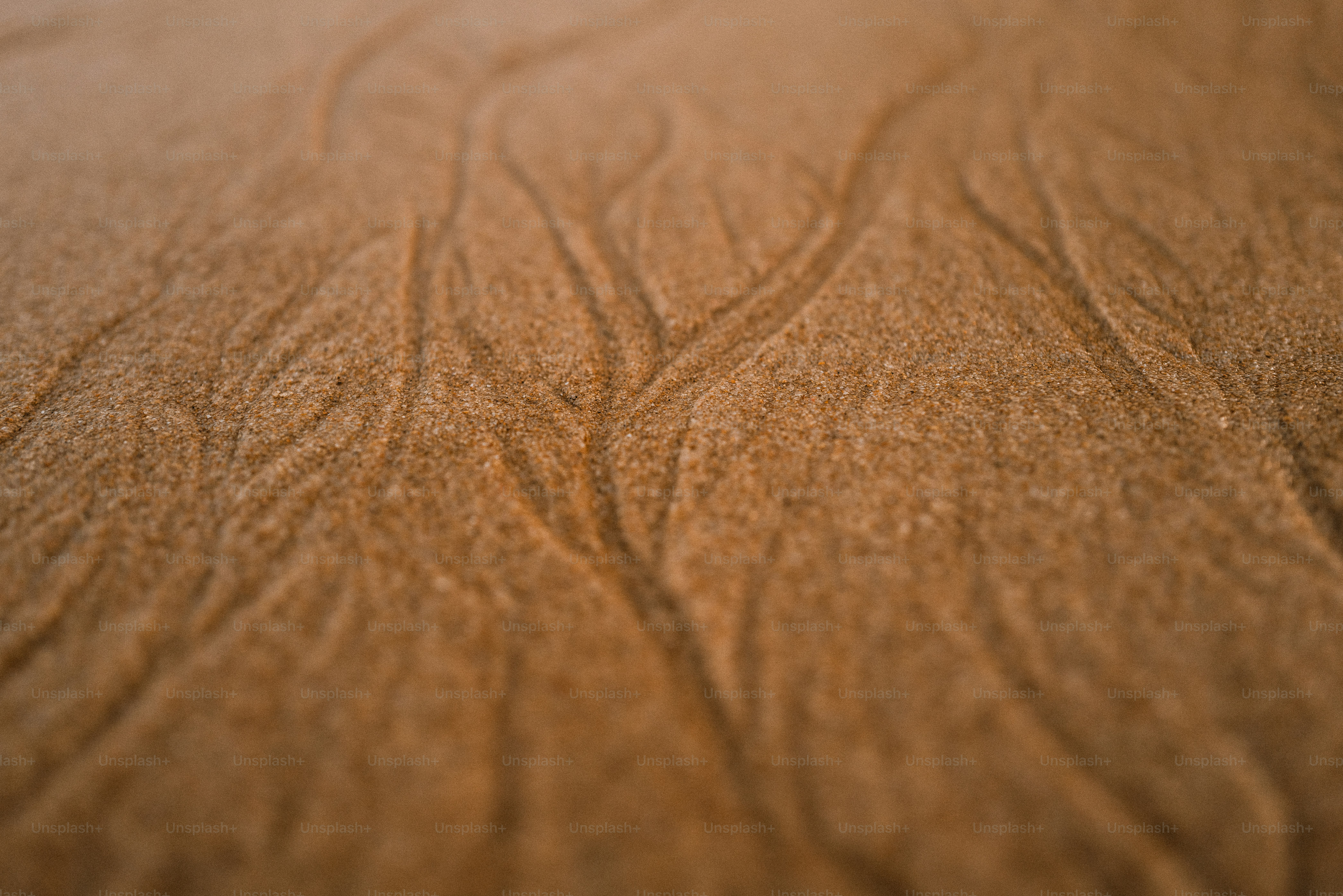Water patterns etched in the wet sand.