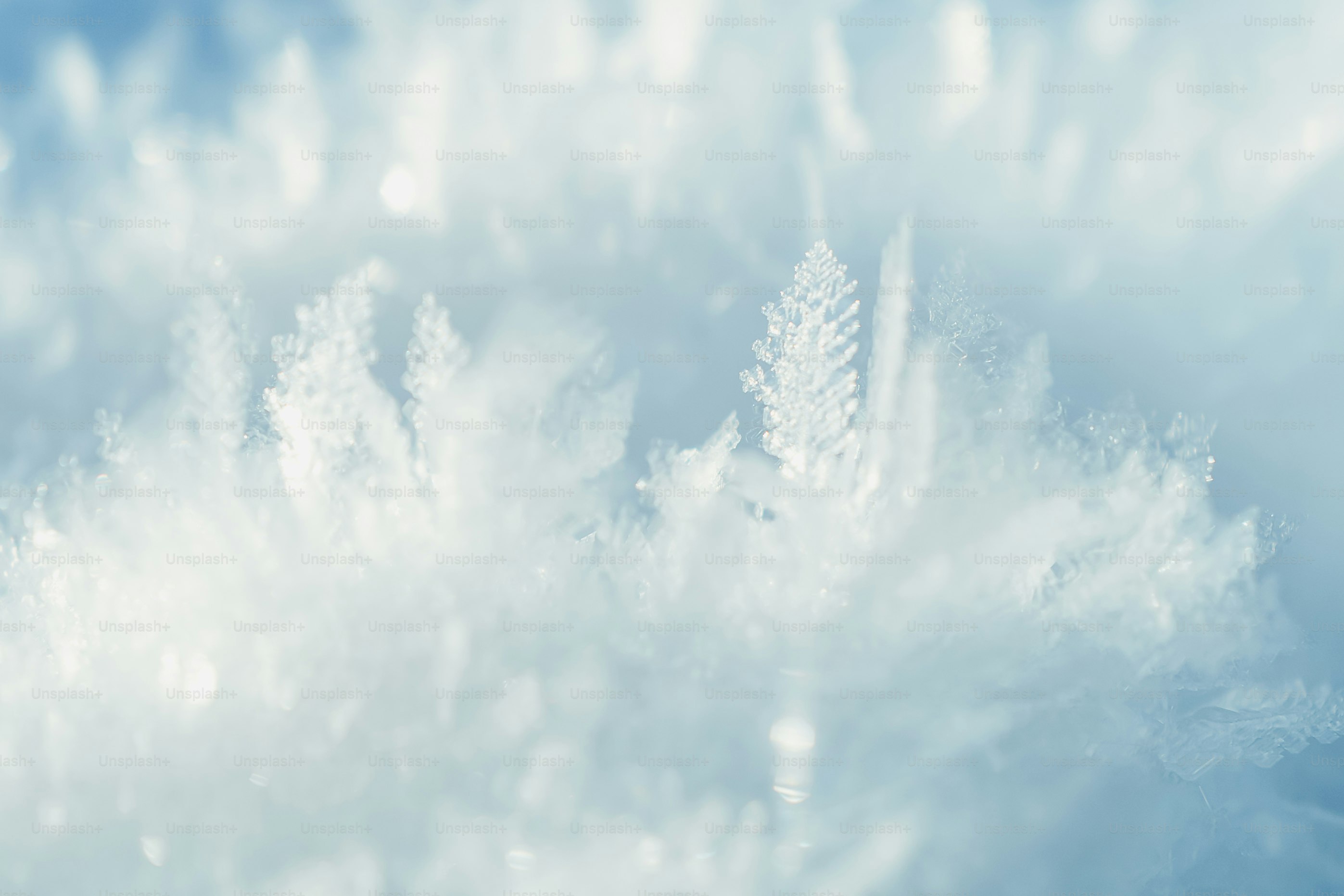 Frosty ice crystals create a beautiful, blurry abstract view.