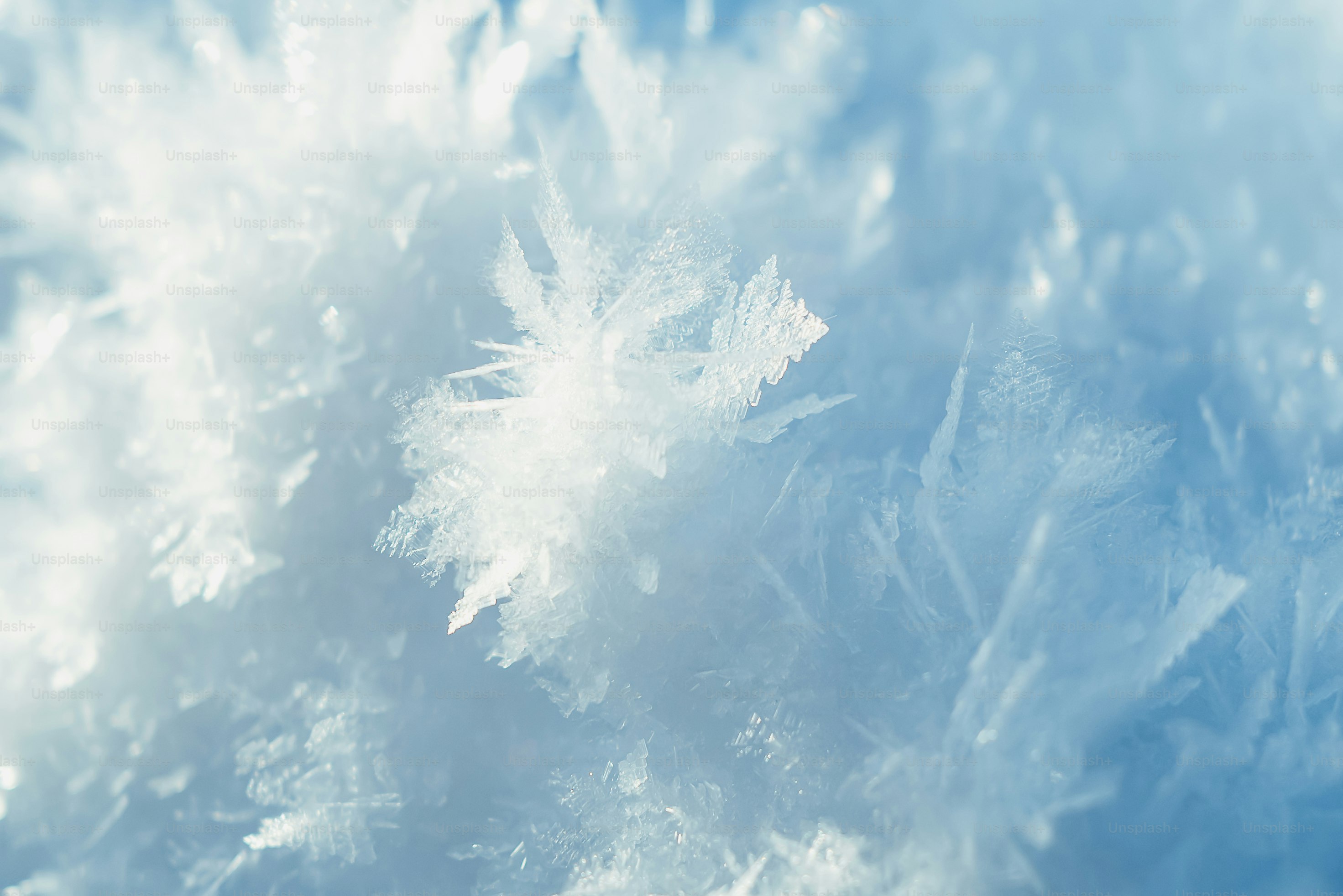 Close-up view of delicate, icy frost crystals.