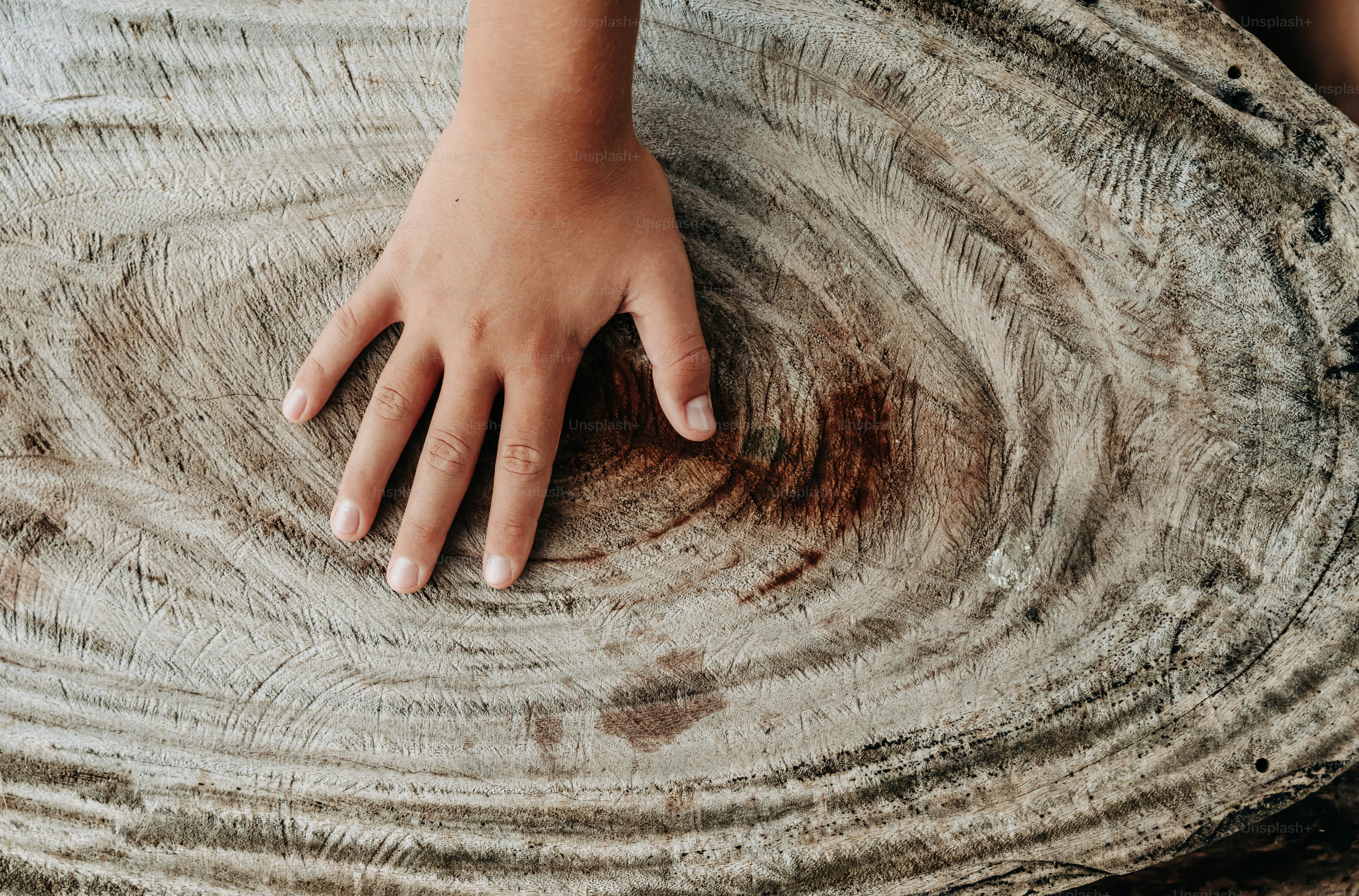 A child's hand rests on a wood slab.