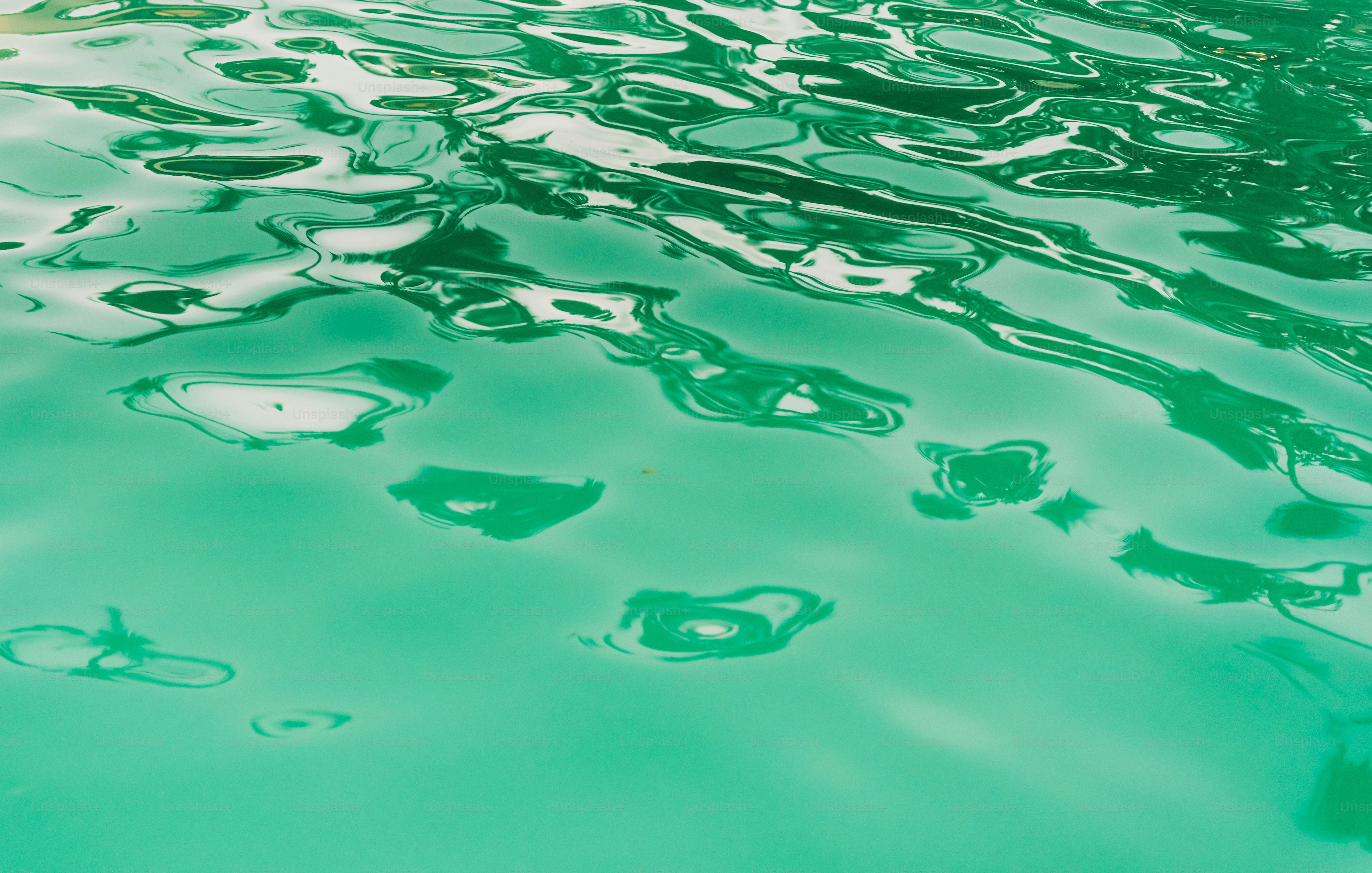 Here's a short caption: water surface reflecting a green hue.