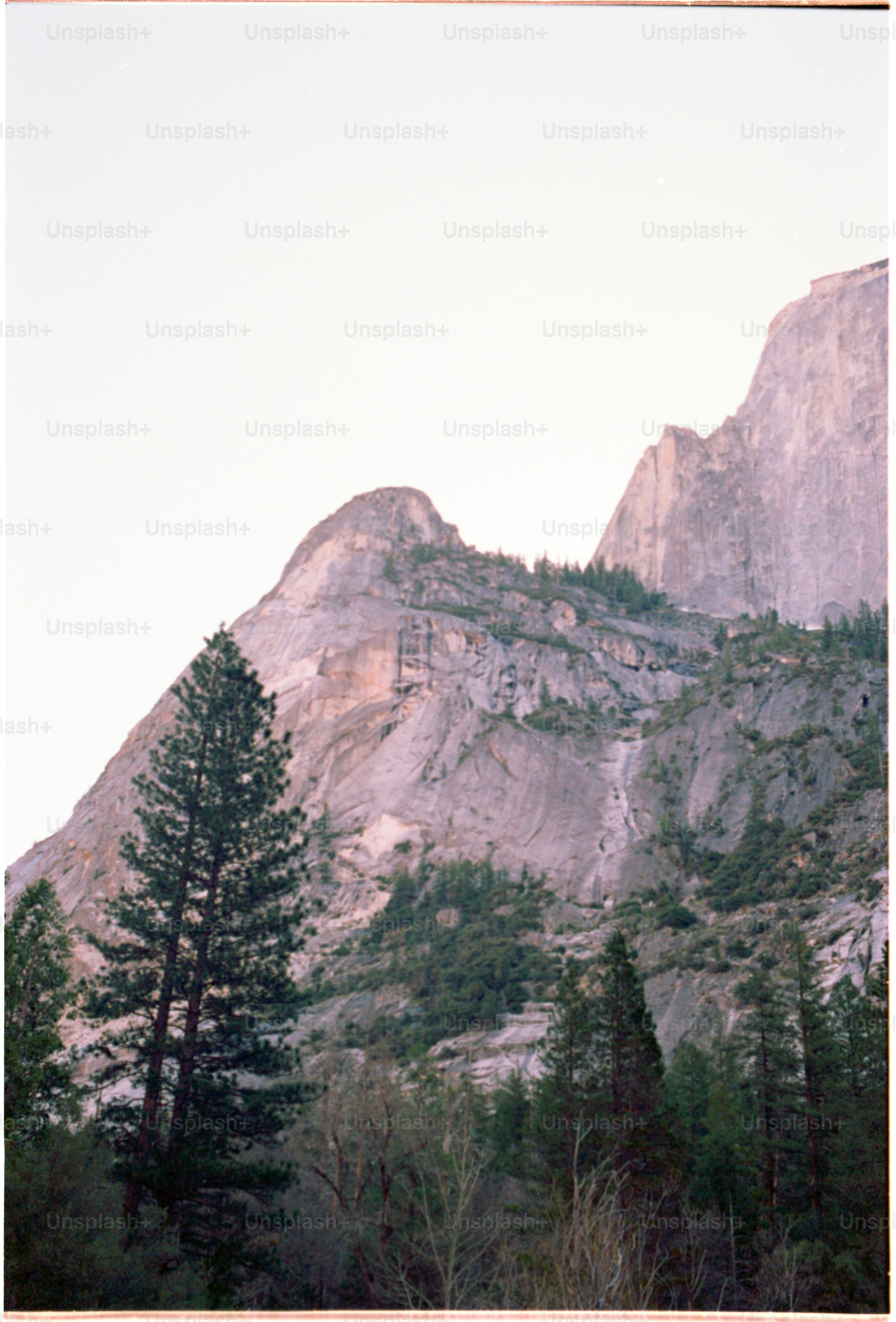 Mountains rise above evergreen trees in this landscape.