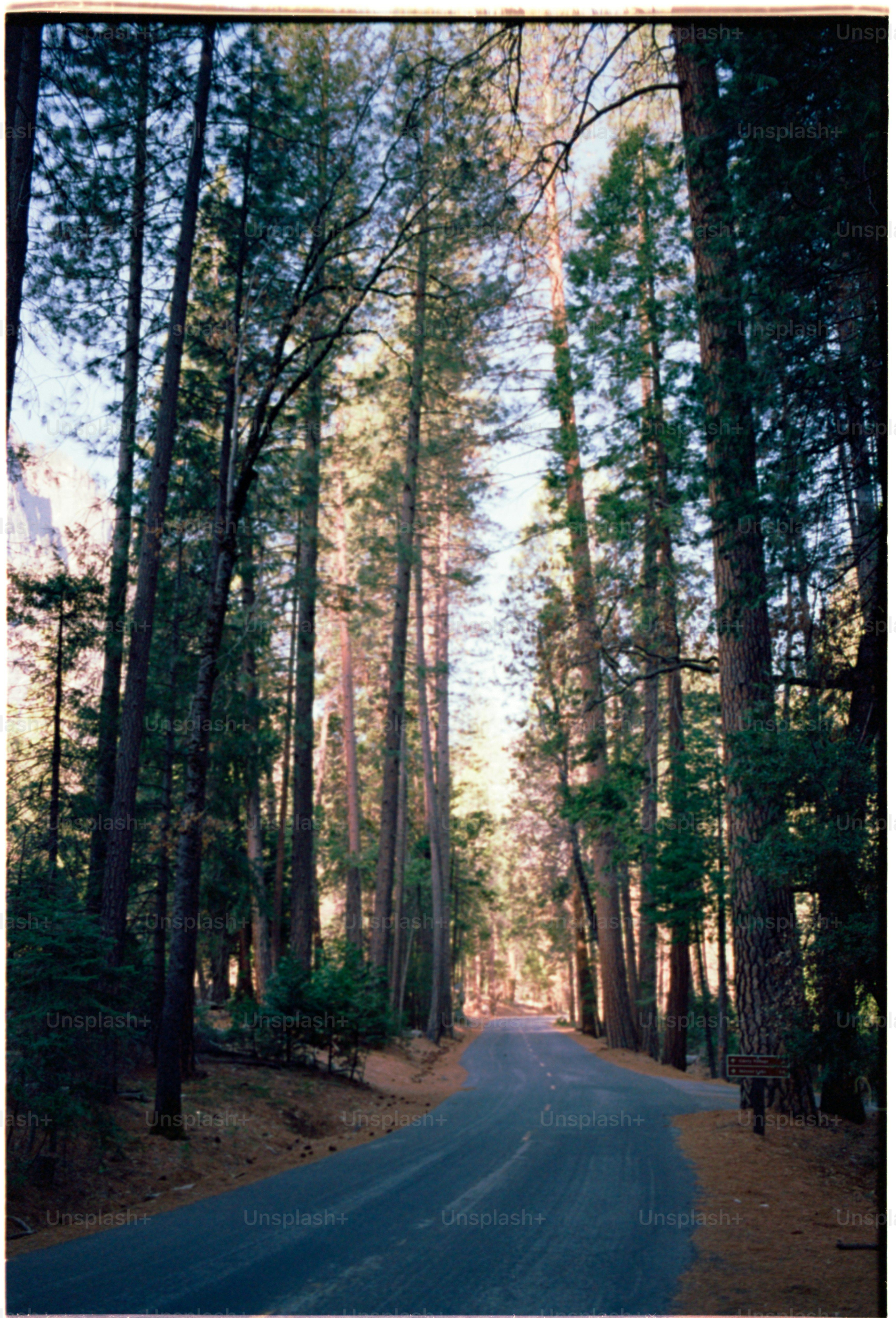 Harmony Grove, California