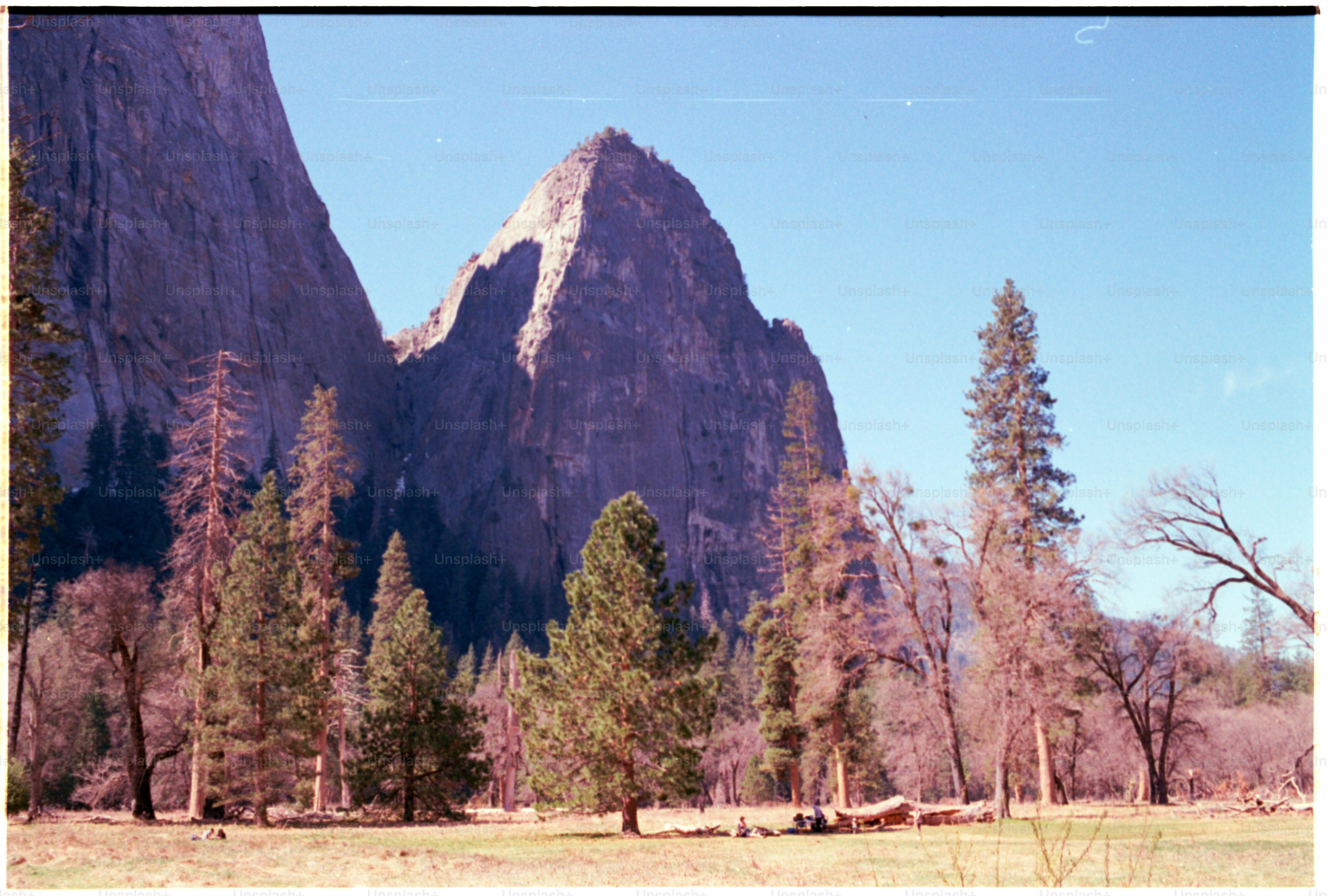 Mountains loom over trees and a field.