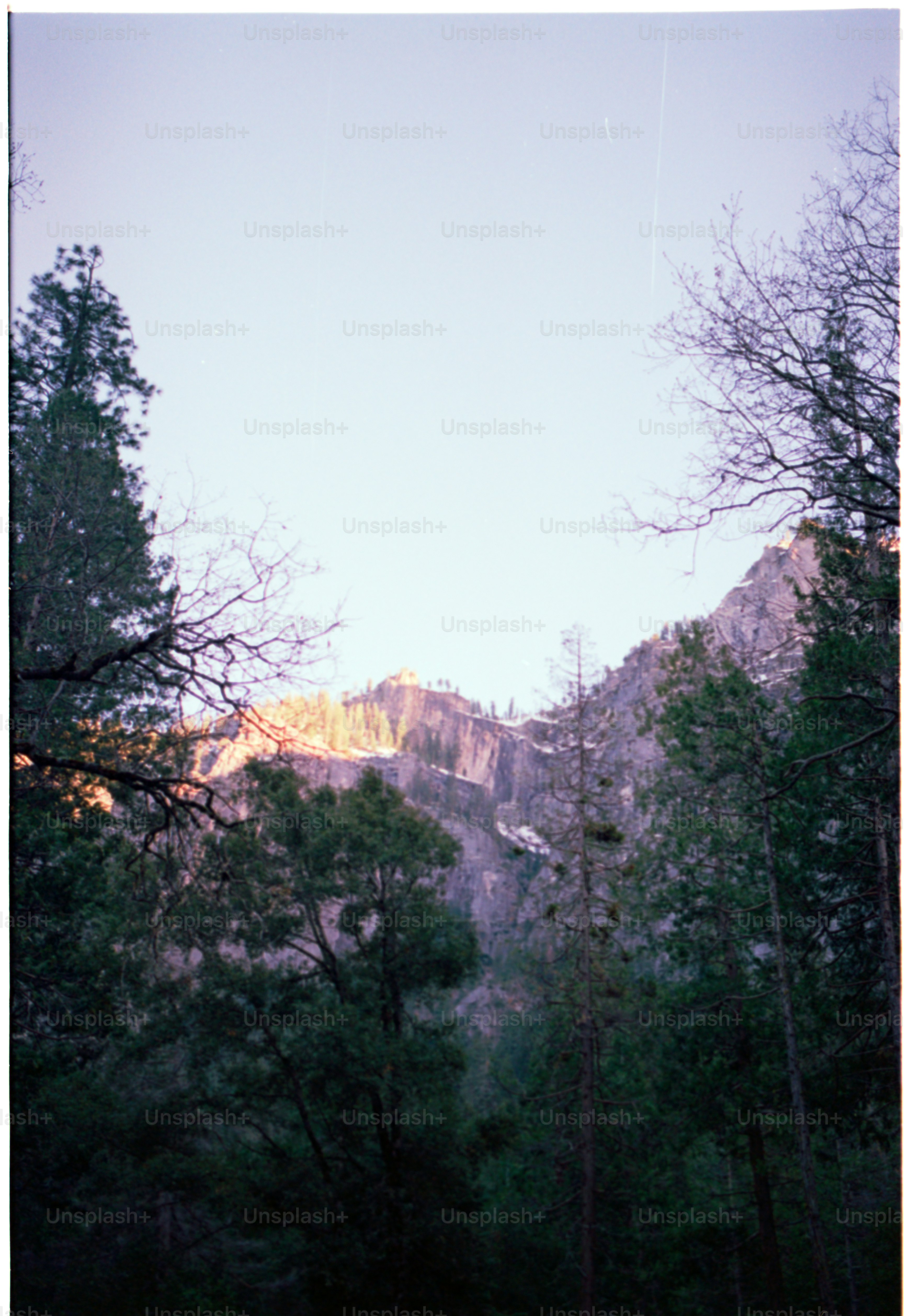 A mountain is seen through the dense forest.