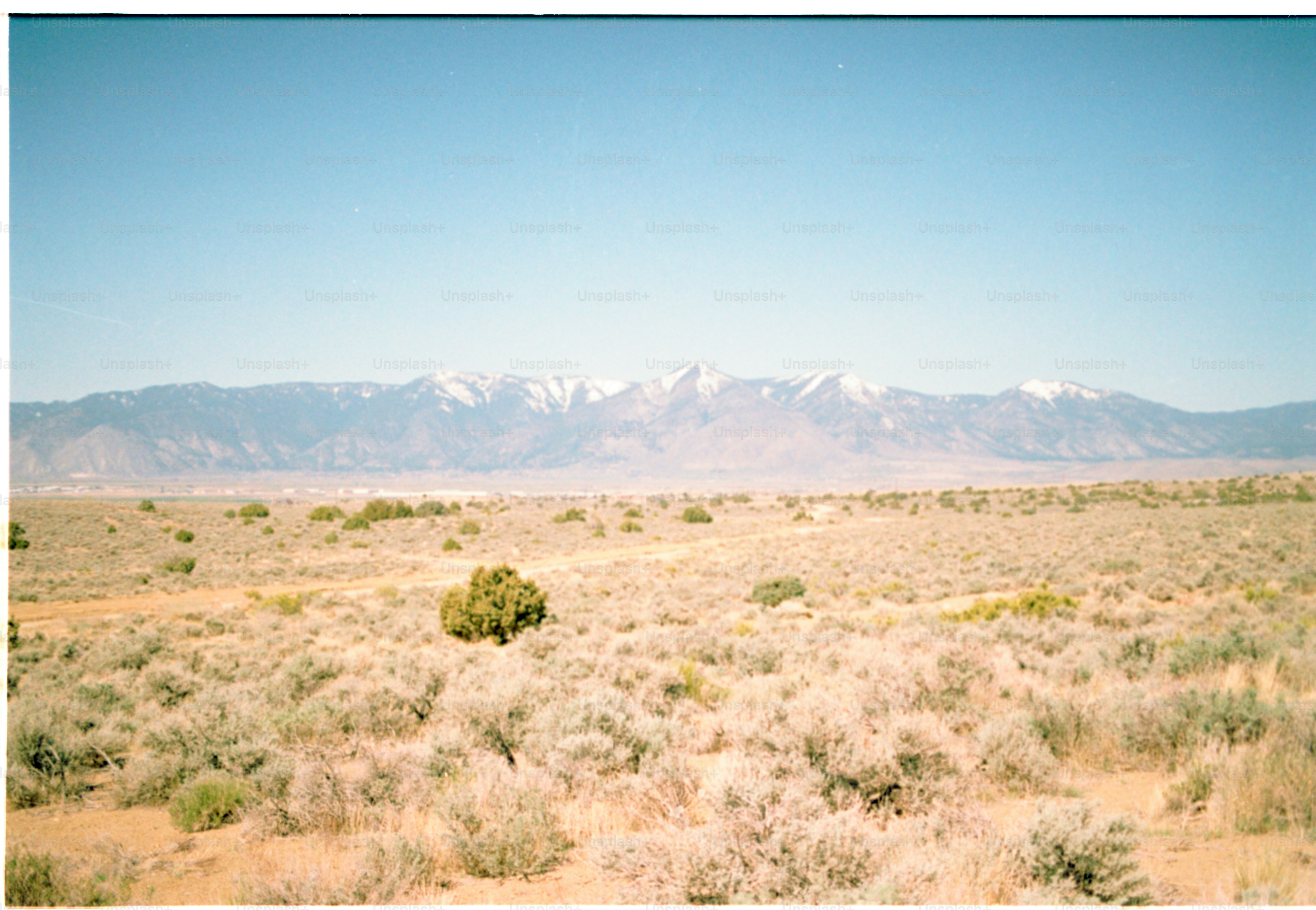 Eine Wüstenlandschaft mit Gebirgskette in der Ferne.