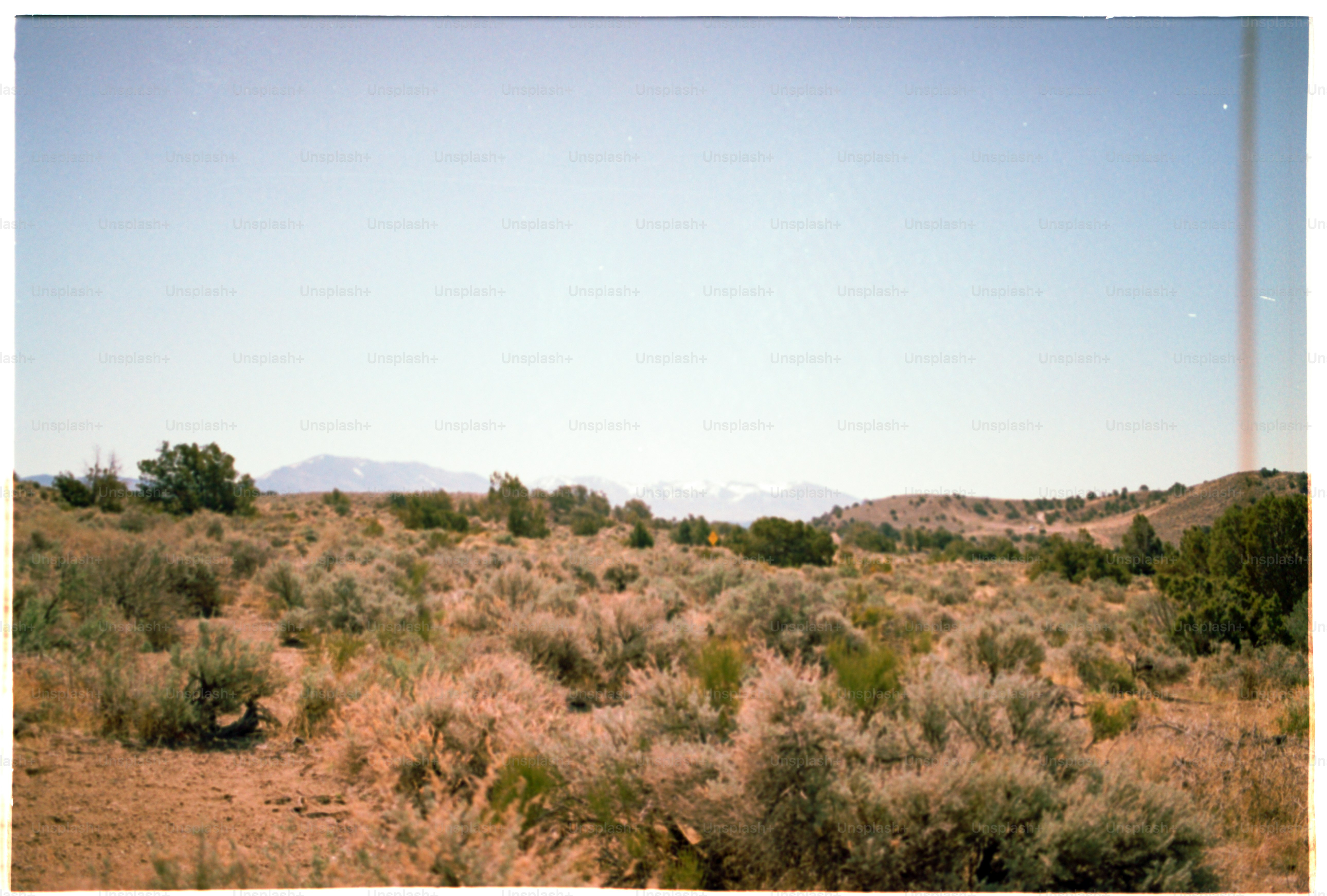 Desert landscape with sagebrush and a clear sky.