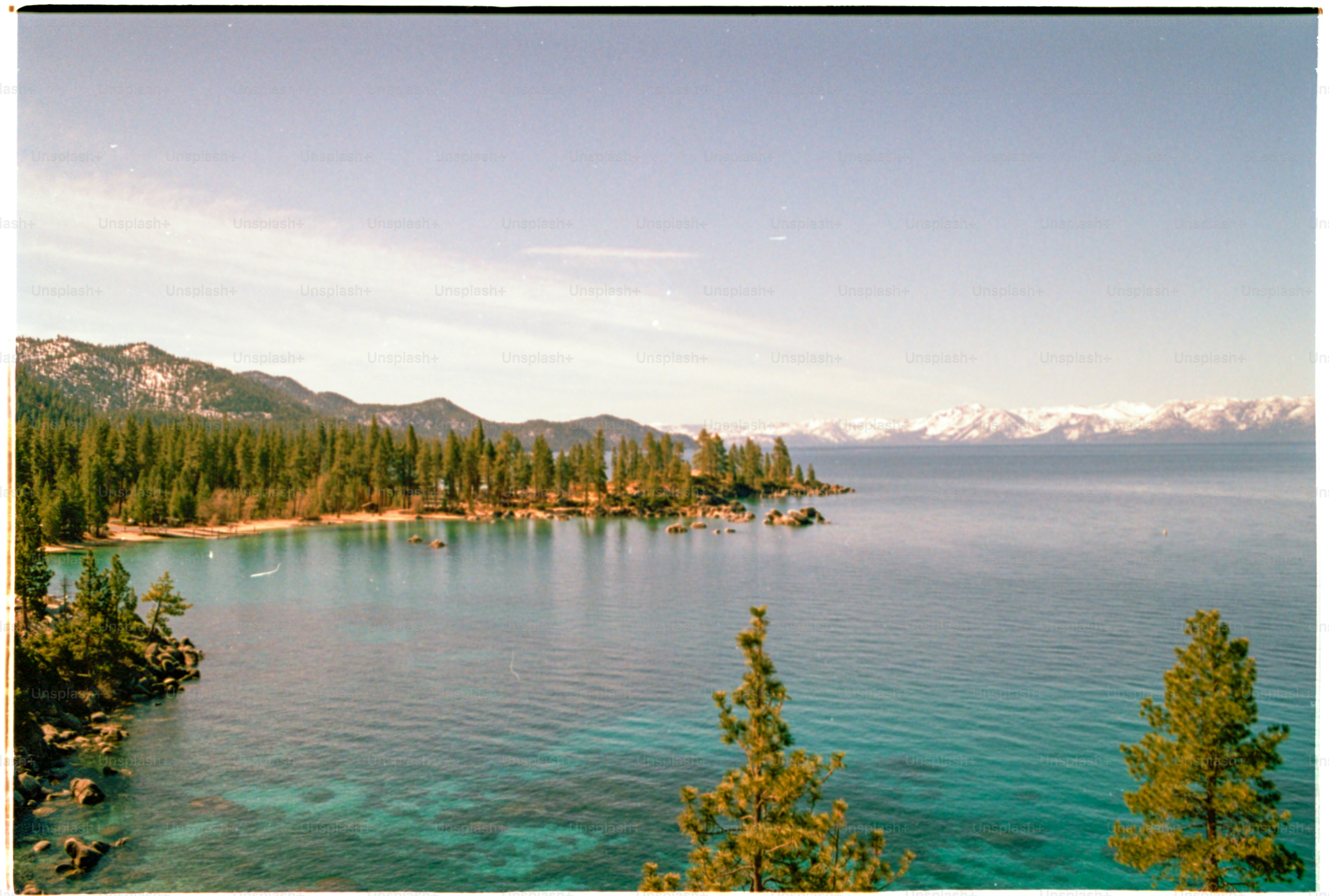 A serene lake meets lush trees and distant mountains