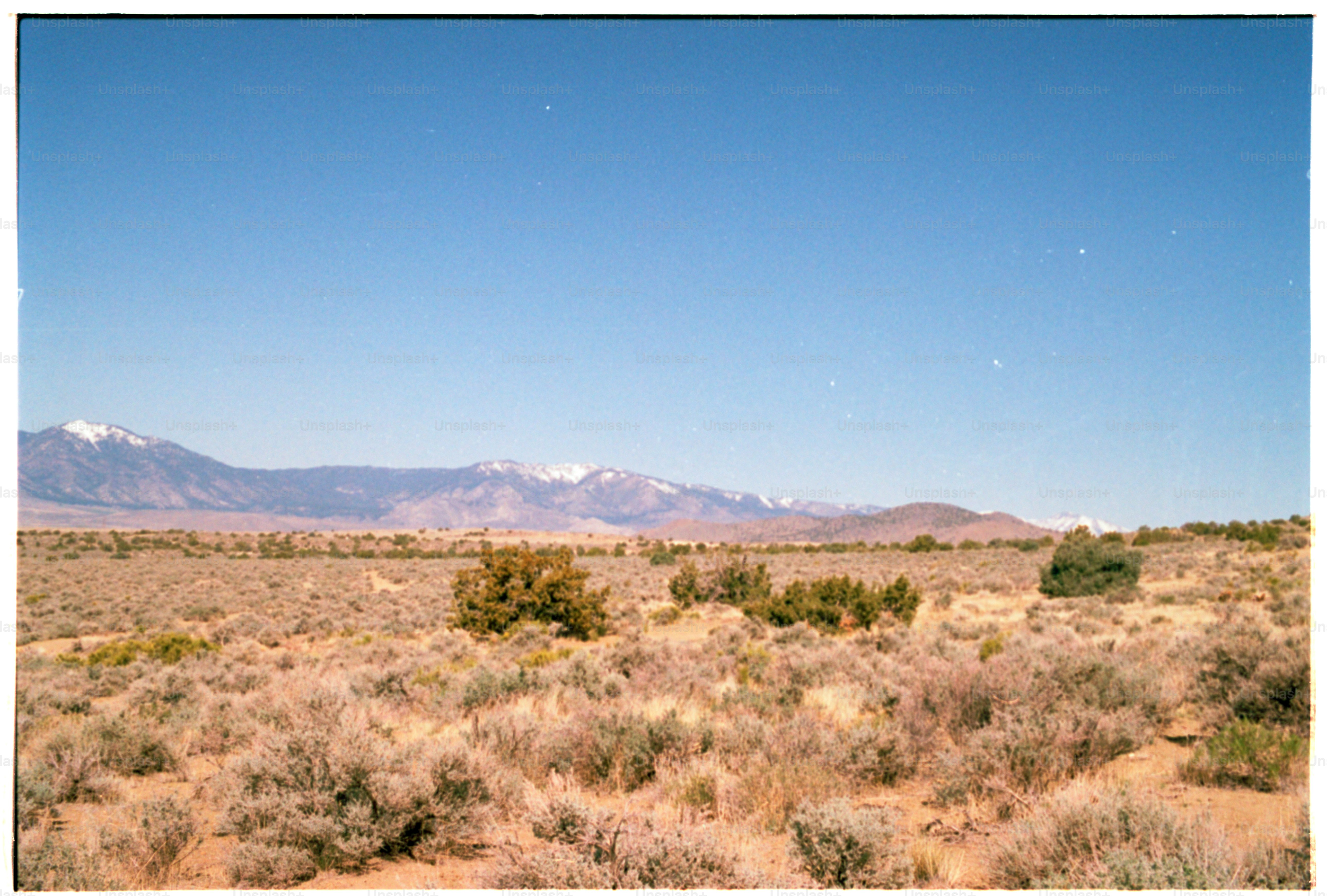 Un paysage désertique avec des montagnes en arrière-plan.