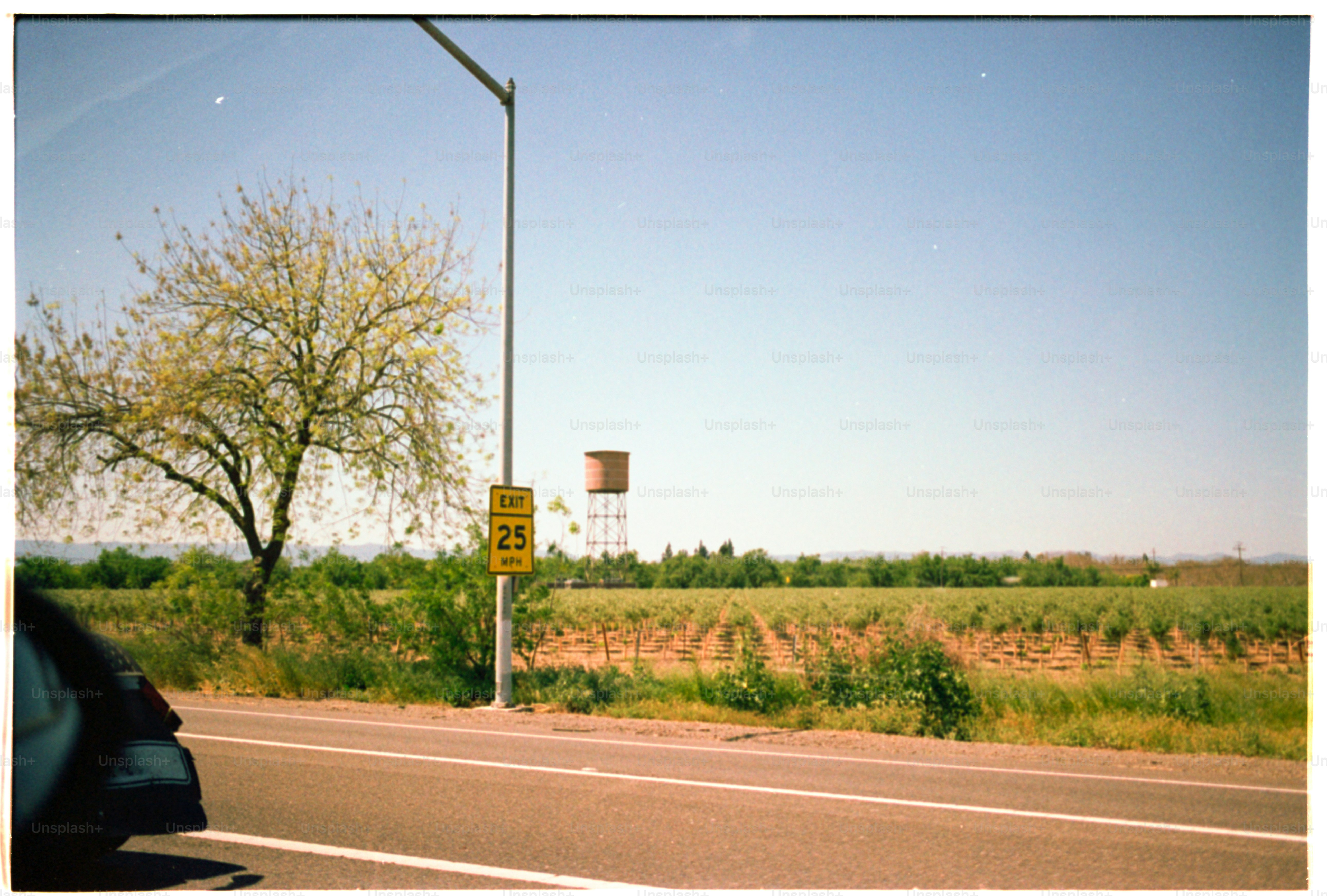 A roadside view with a tree, sign, and field.