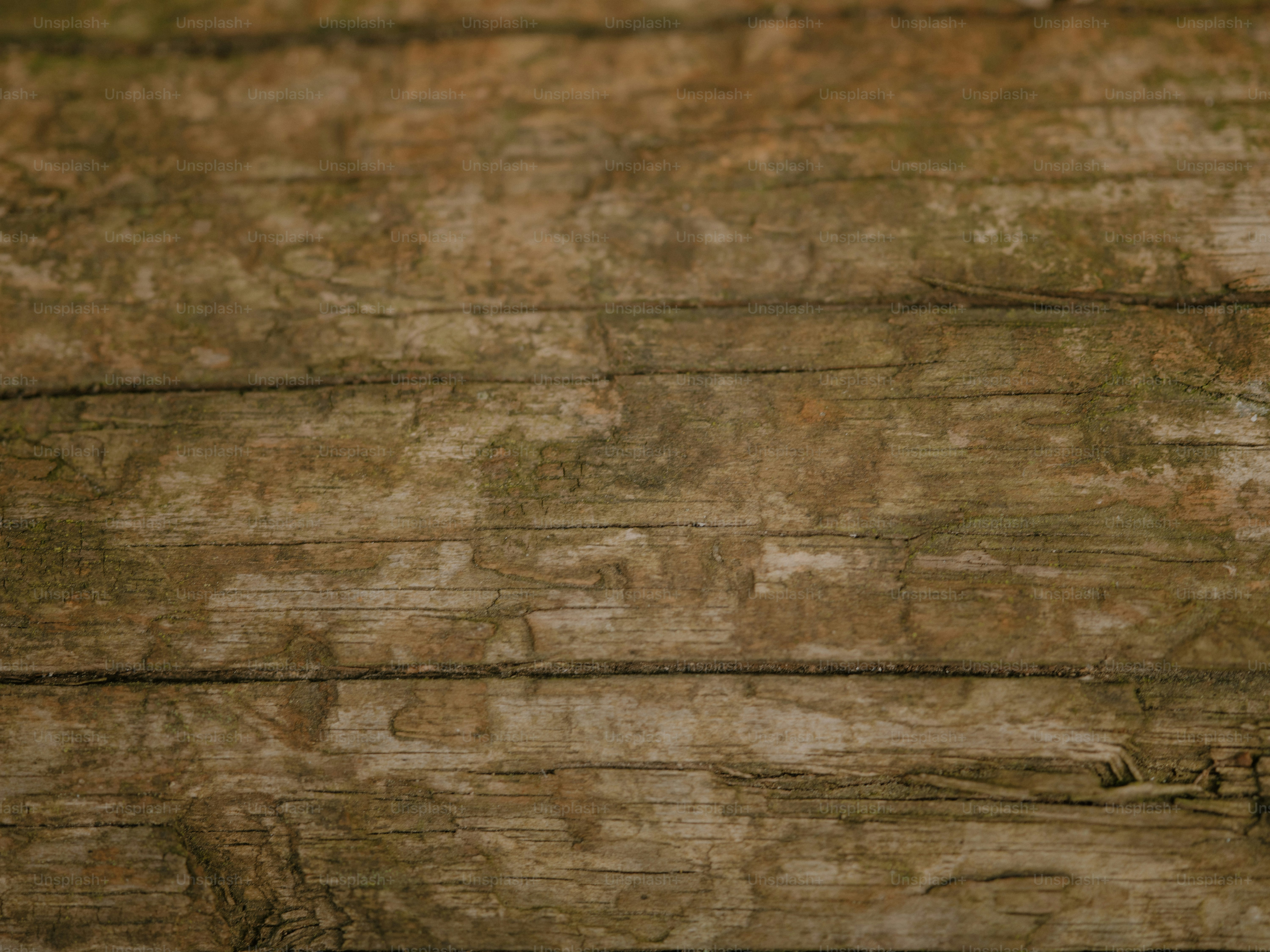 Here's a caption: wooden planks show textured grain and detail.