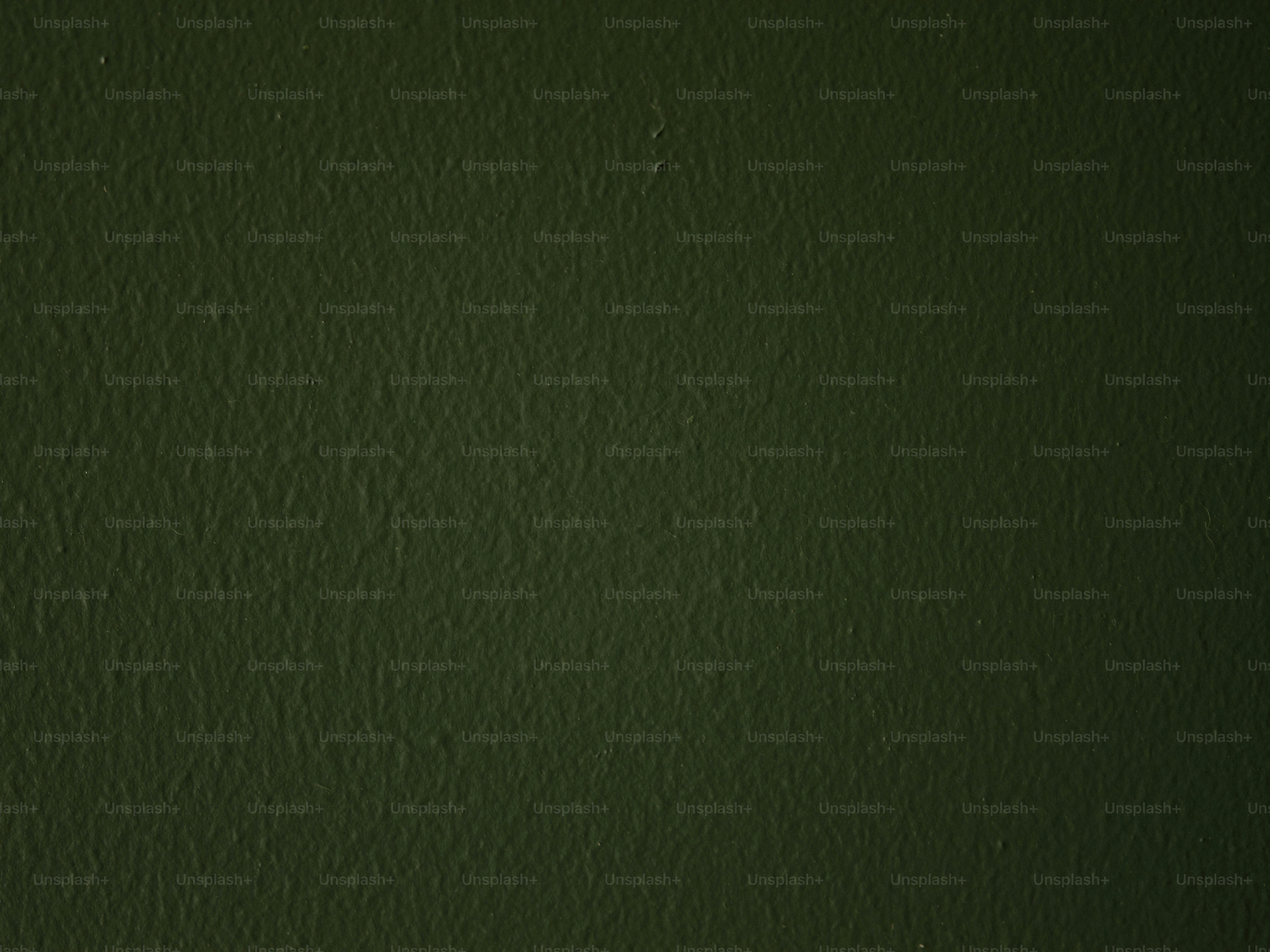 Green textured wall background.