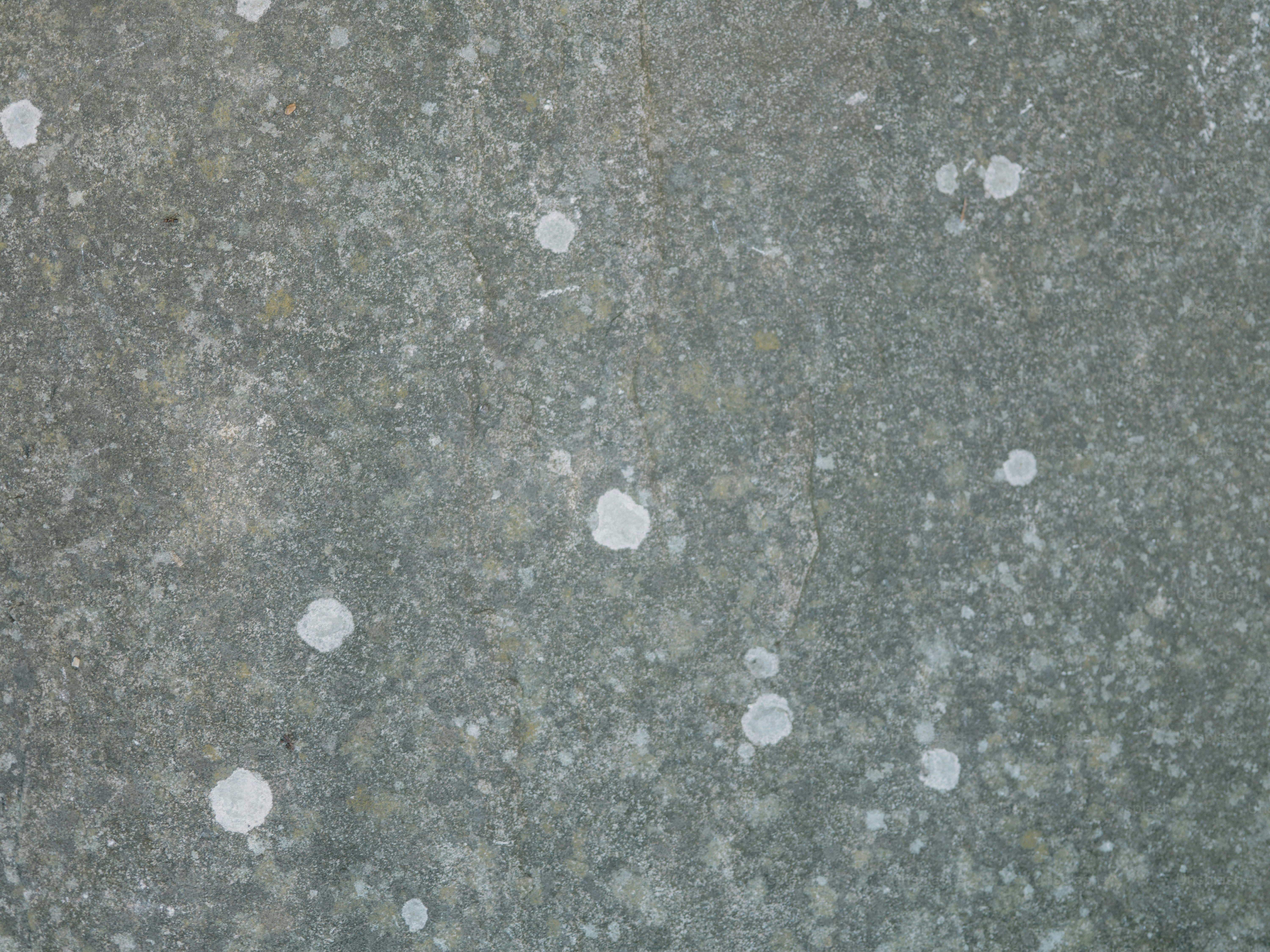 Gray surface has white splotches randomly scattered.