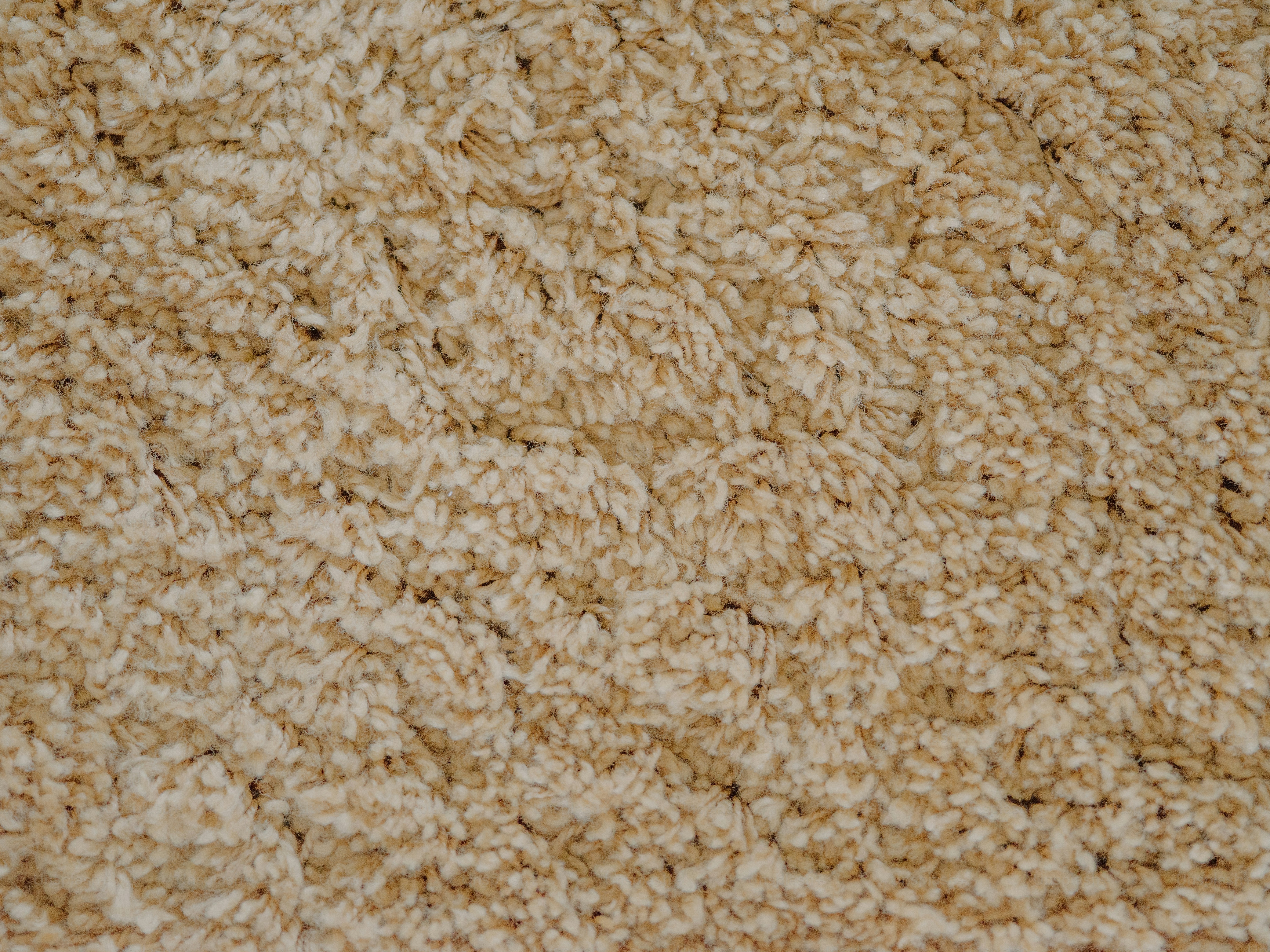 Close-up of a beige textured carpet.
