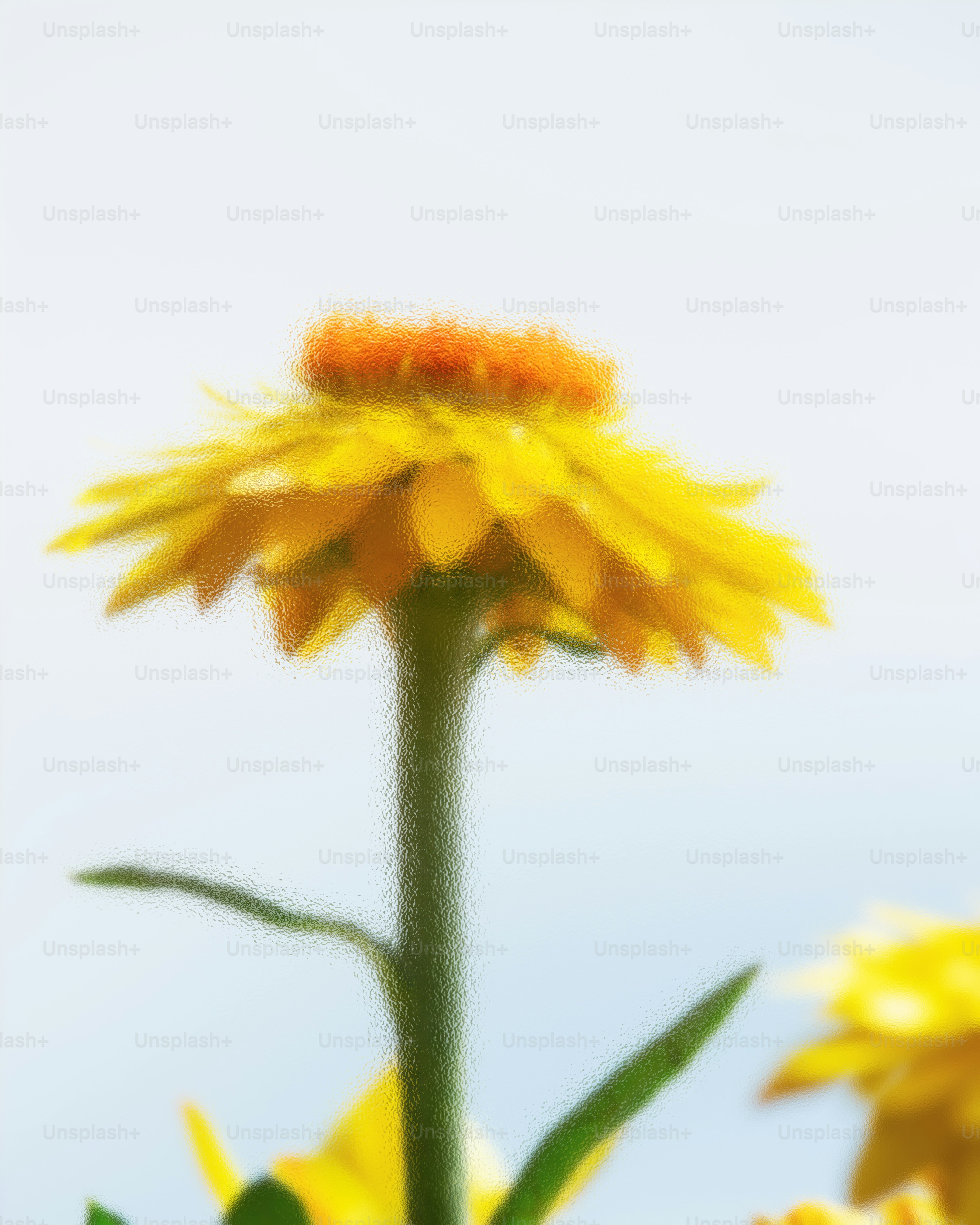 Un fiore giallo brillante si erge alto
