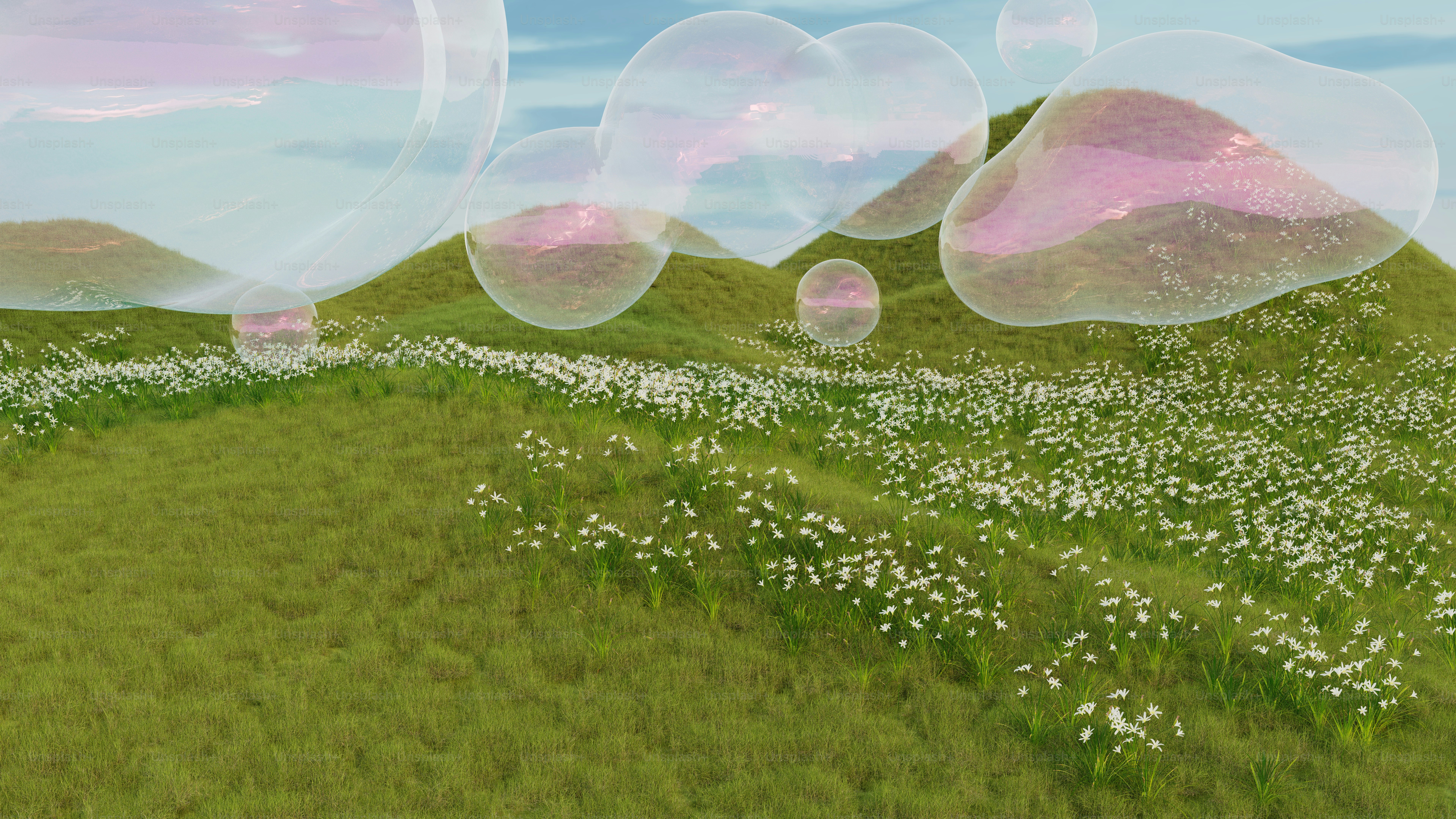 Seifenblasen schweben über einem grasbewachsenen, blumenübersäten Feld.