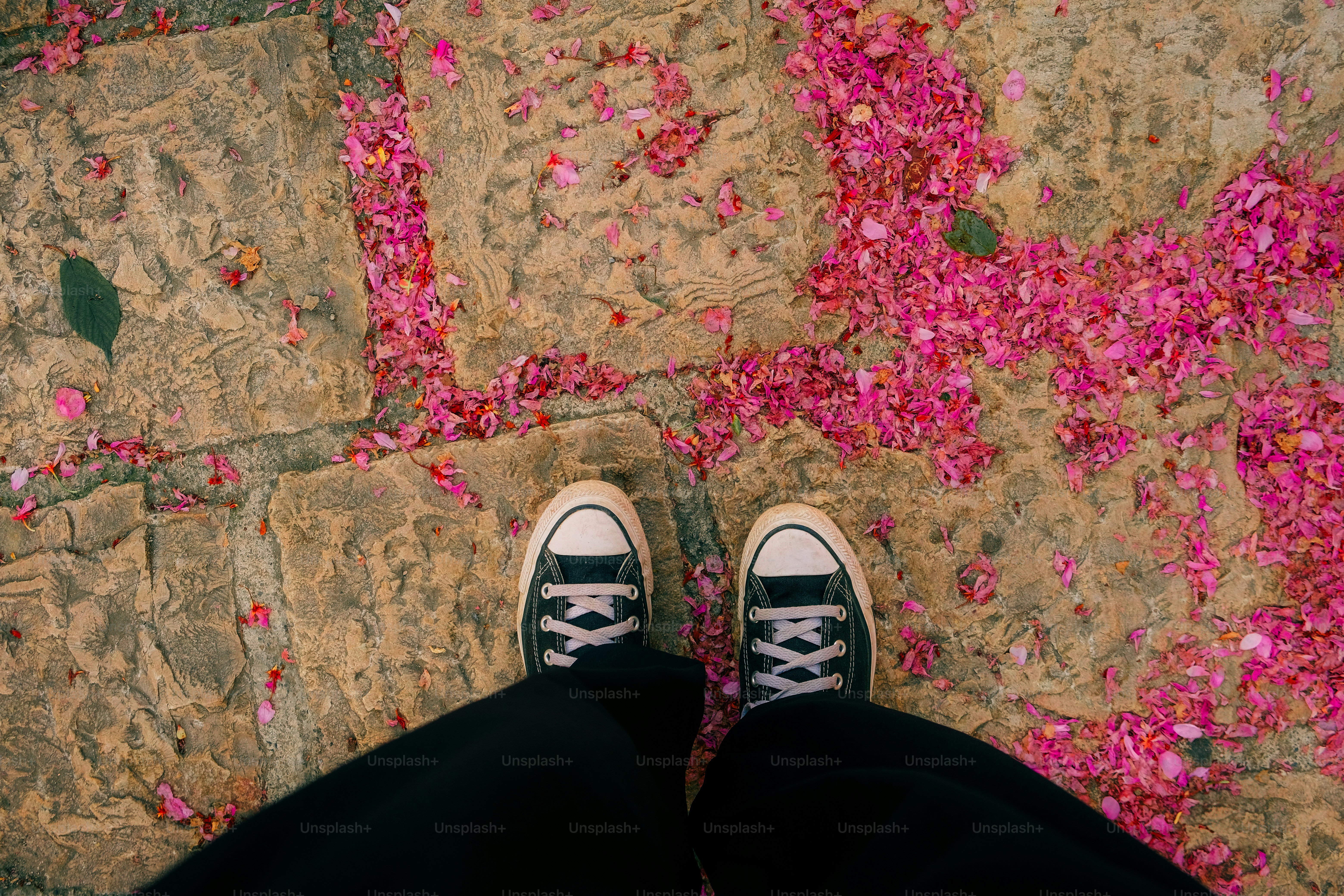 Shoes stand on a floral-covered stone path.