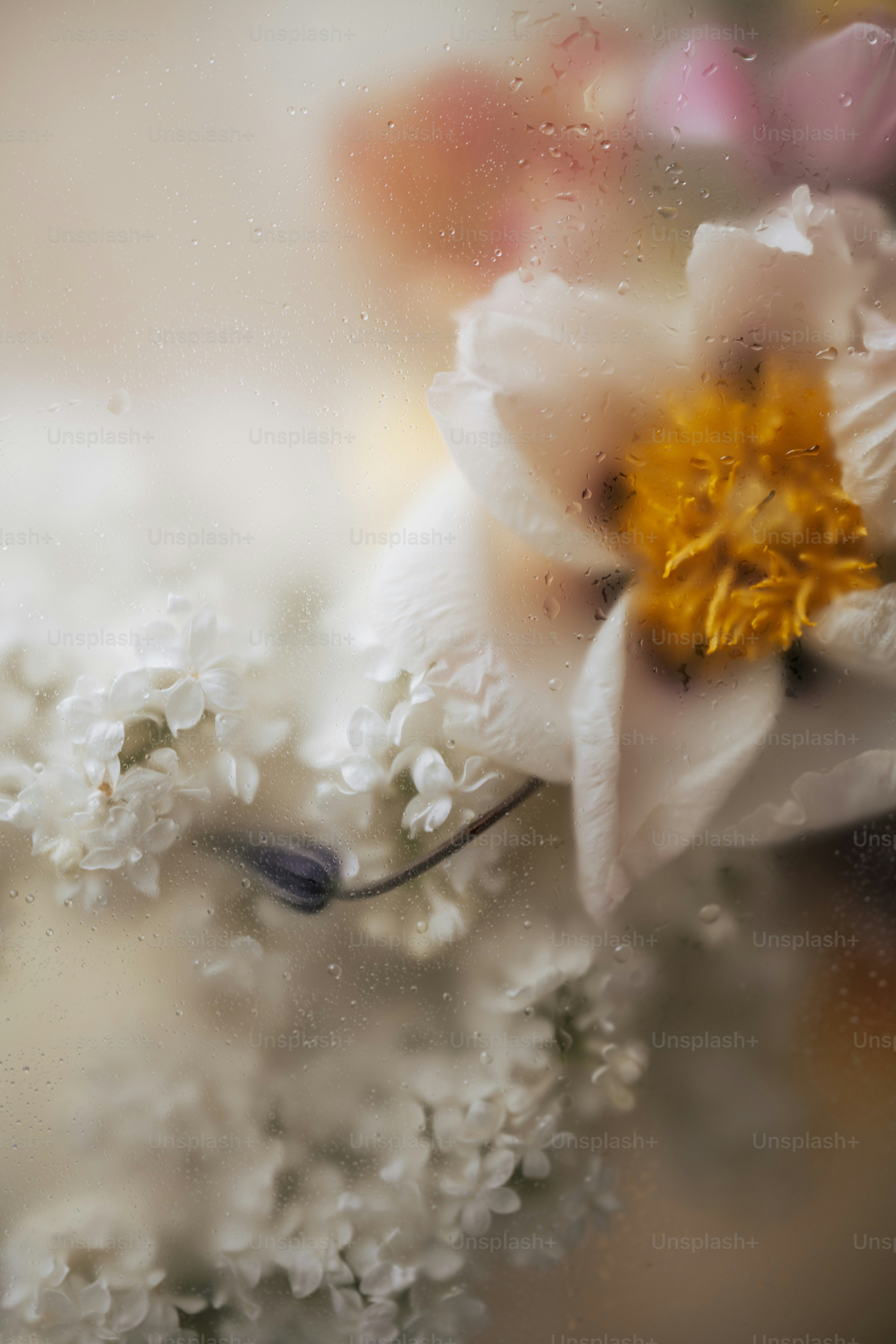 Flowers are seen through a misty, wet window.