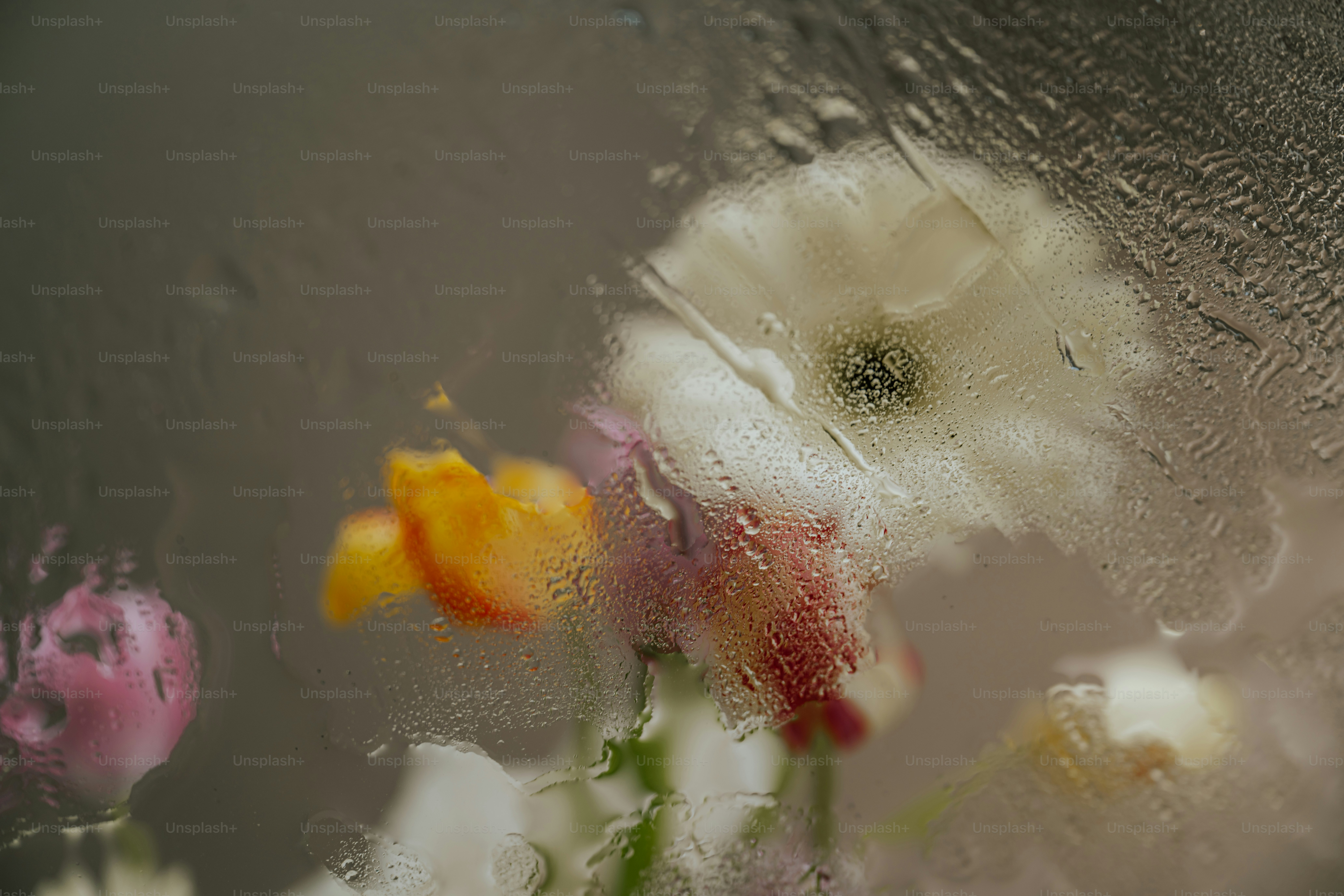 Flowers are viewed through a watery, misty surface.