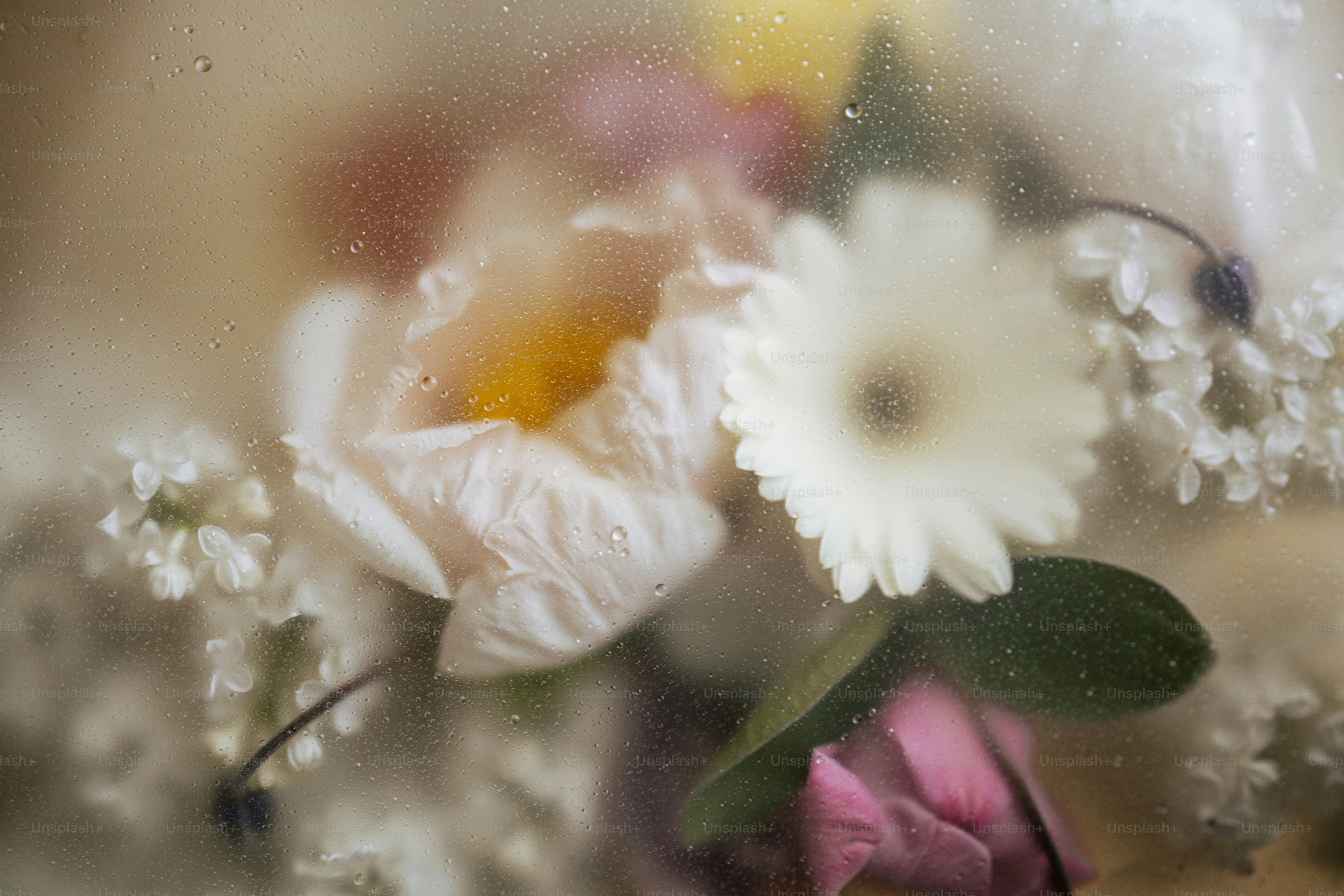 Flowers appear blurry behind a foggy glass.