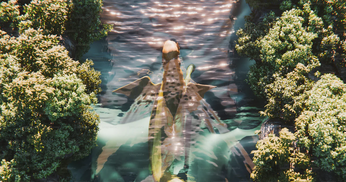 A Creature Appears To Be Swimming In The Water Photo River Image On a-creature-appears-to-be-swimming-in-the-water-photo-river-image-on