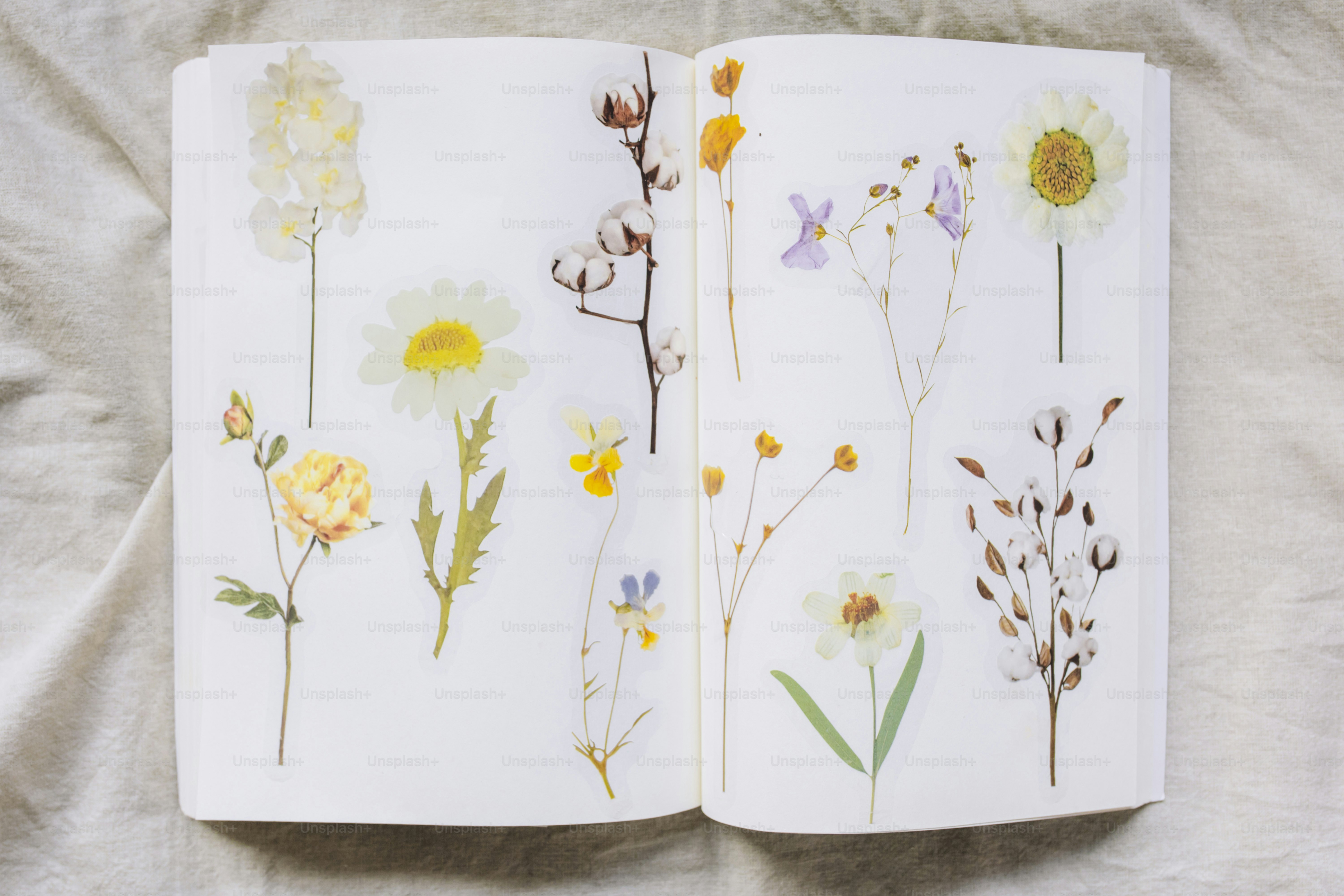 I fiori secchi sono disposti con cura all'interno di un libro aperto.