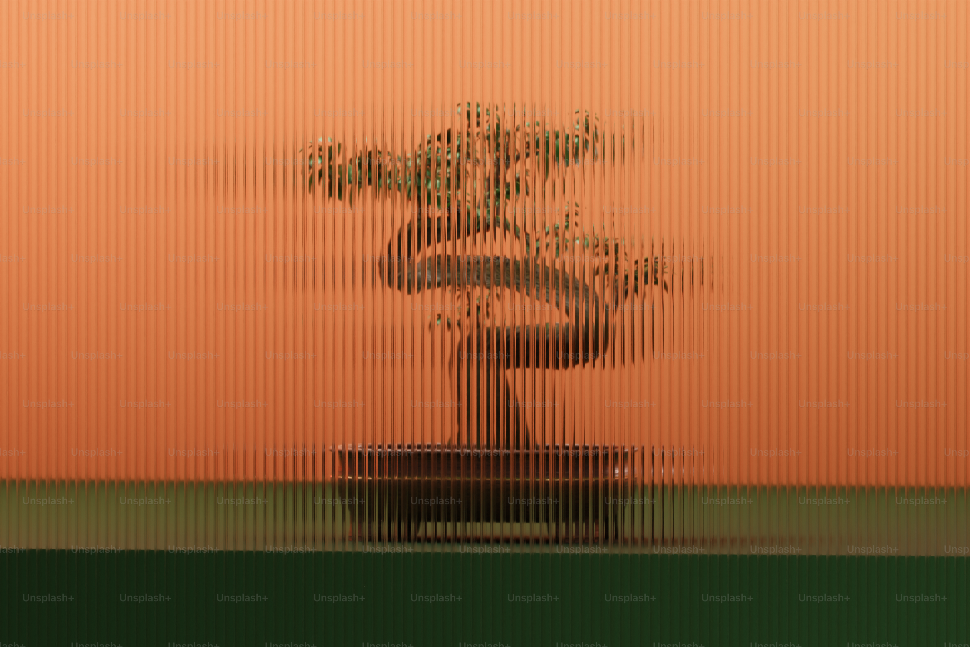 オレンジ色の背景に映える盆栽。