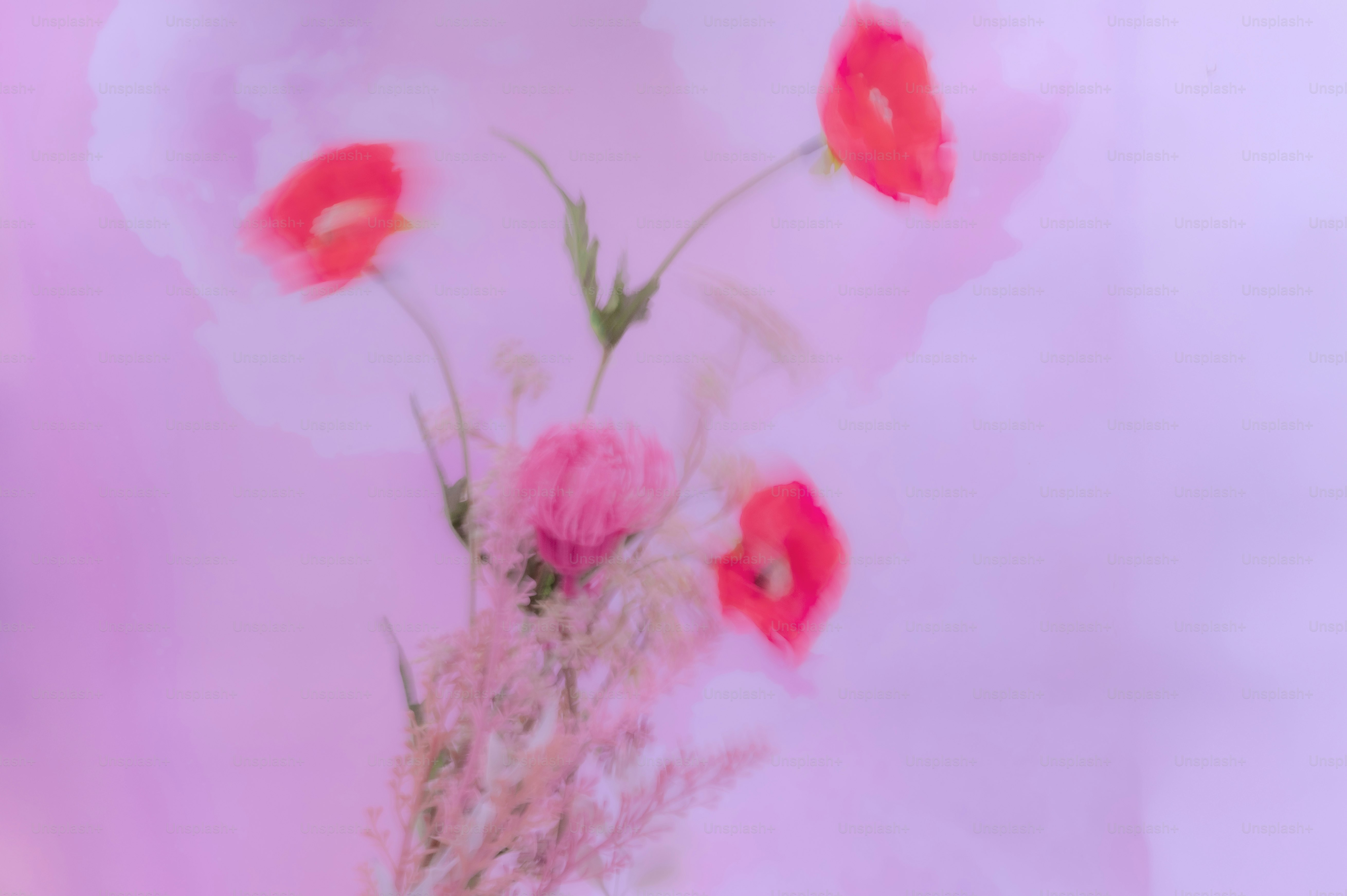 Here's a possible caption: red and pink flowers blur against a pastel background.