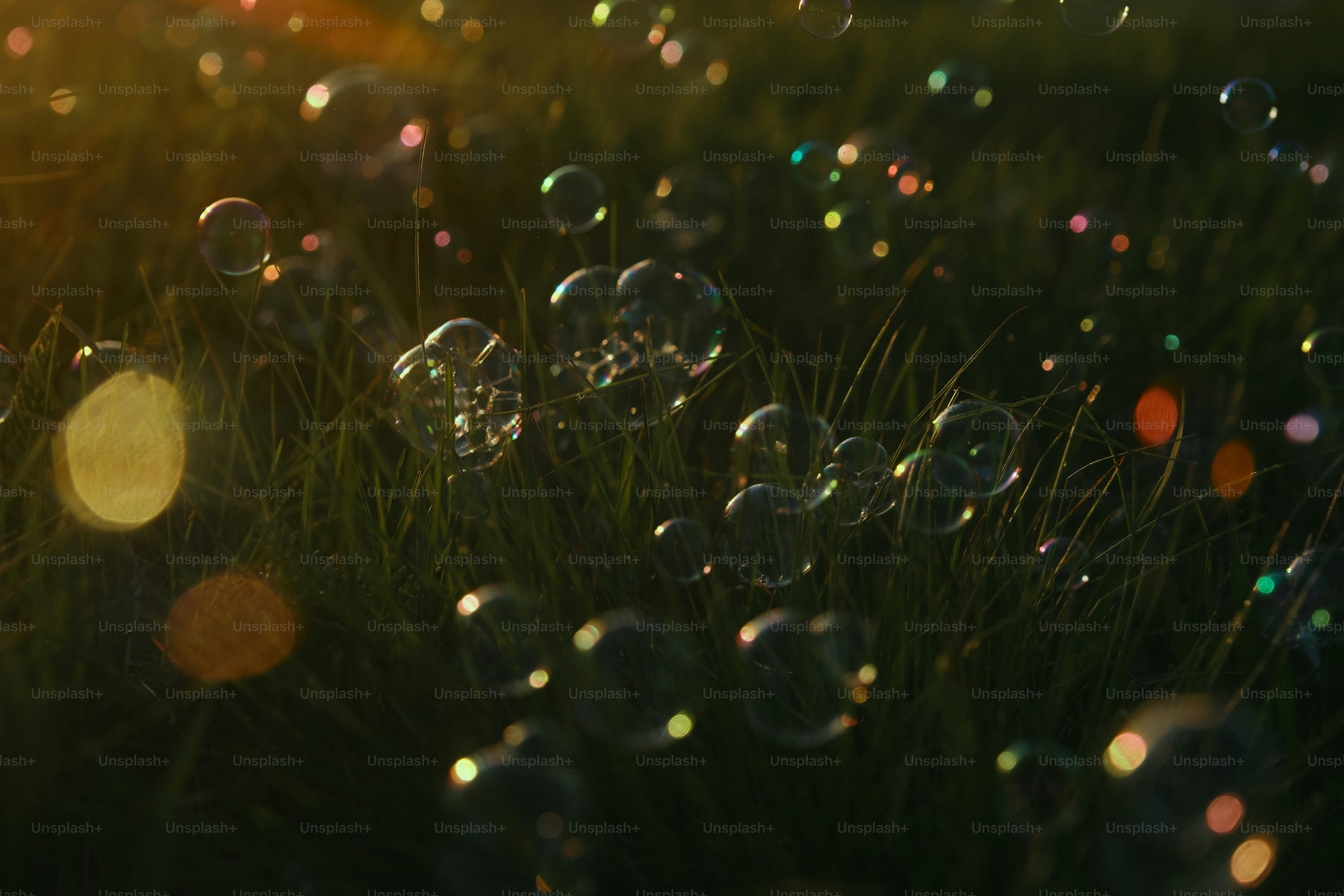 緑の芝生の上に泡が浮かんでいます。