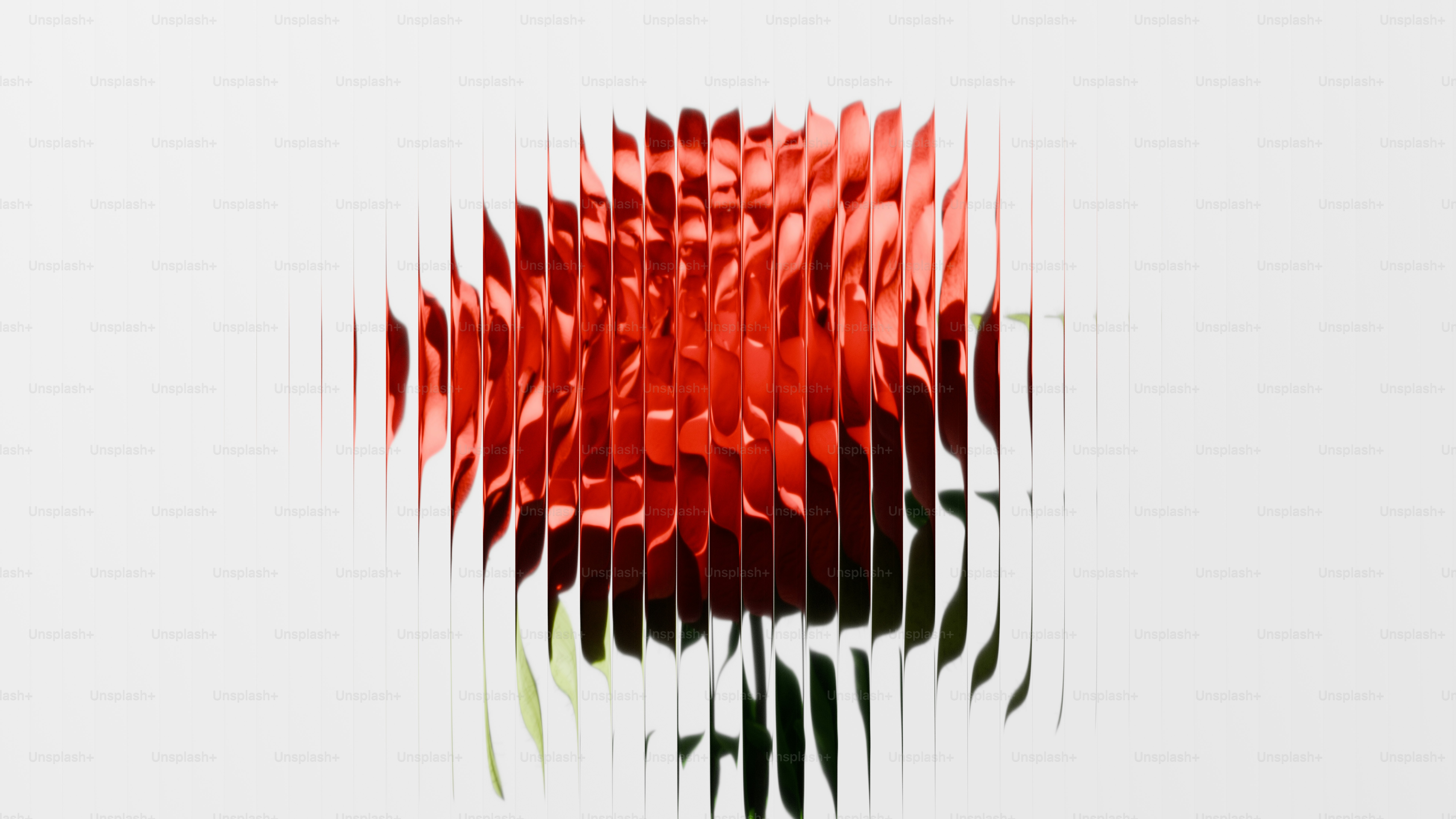 A red rose is seen through vertical slices. photo – Pattern Image on ...