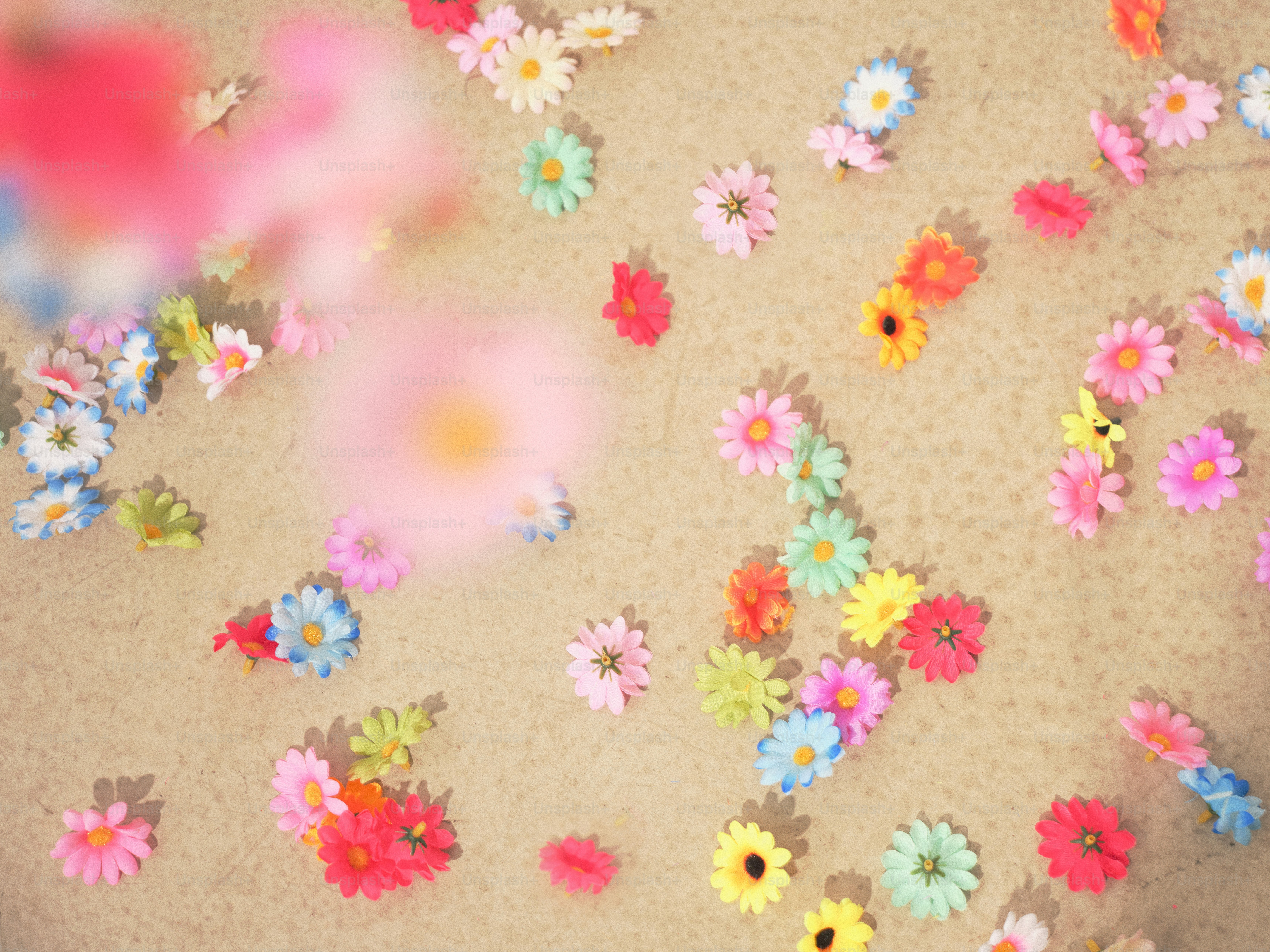 Colorful flowers are scattered on a beige surface.