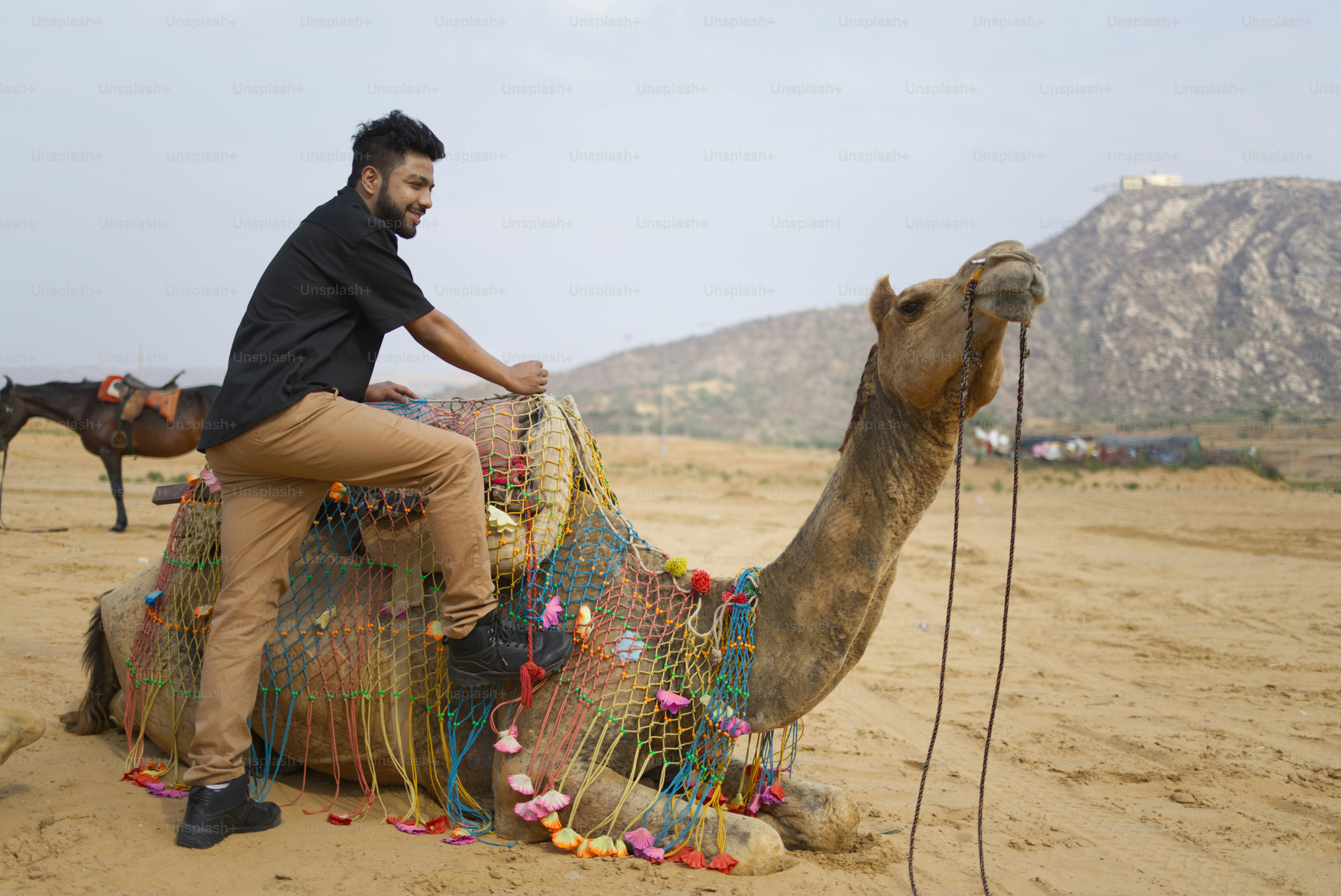 Man enjoys a camel ride in the desert.
