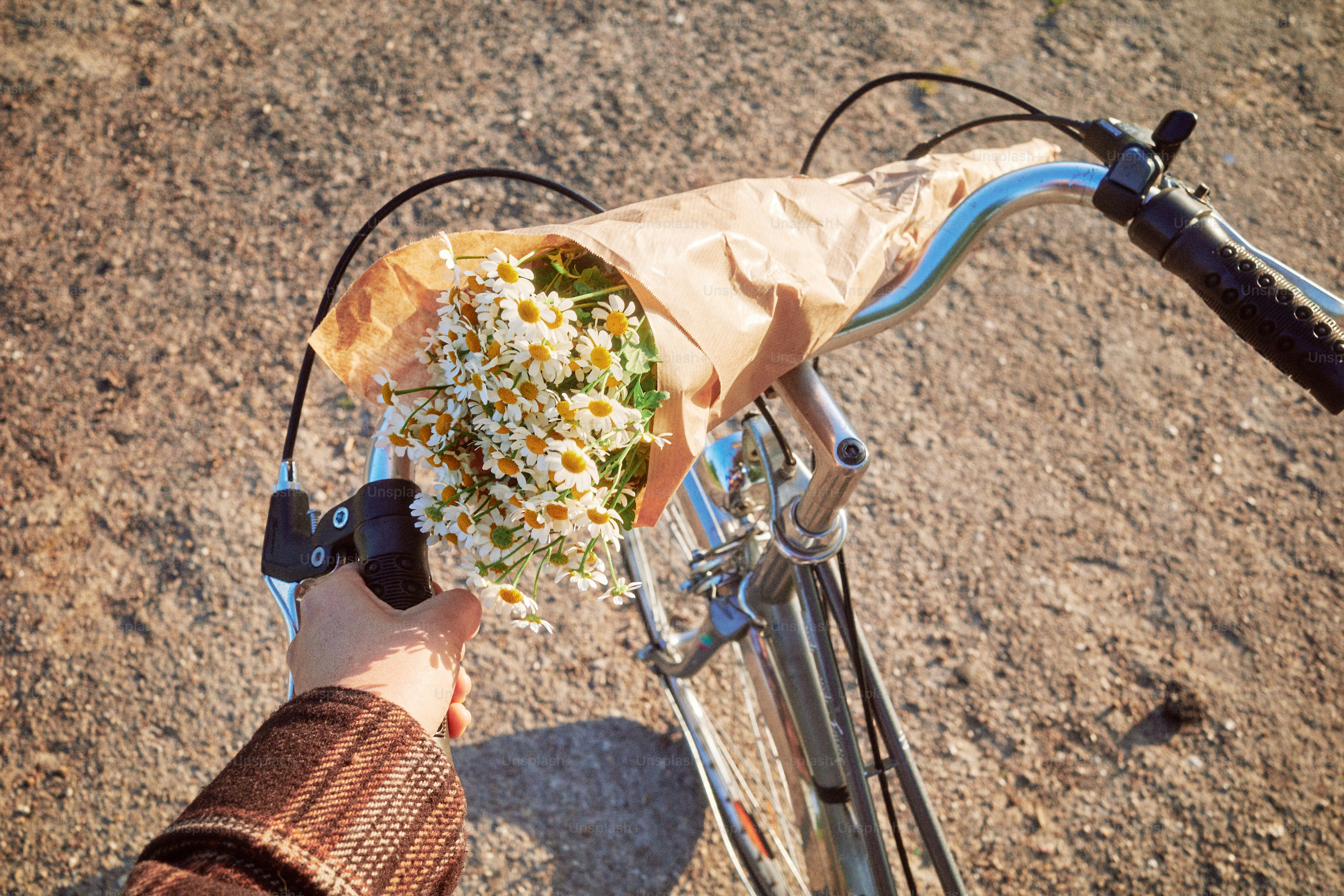 Frische Blumen fahren mit dem Fahrrad mit.