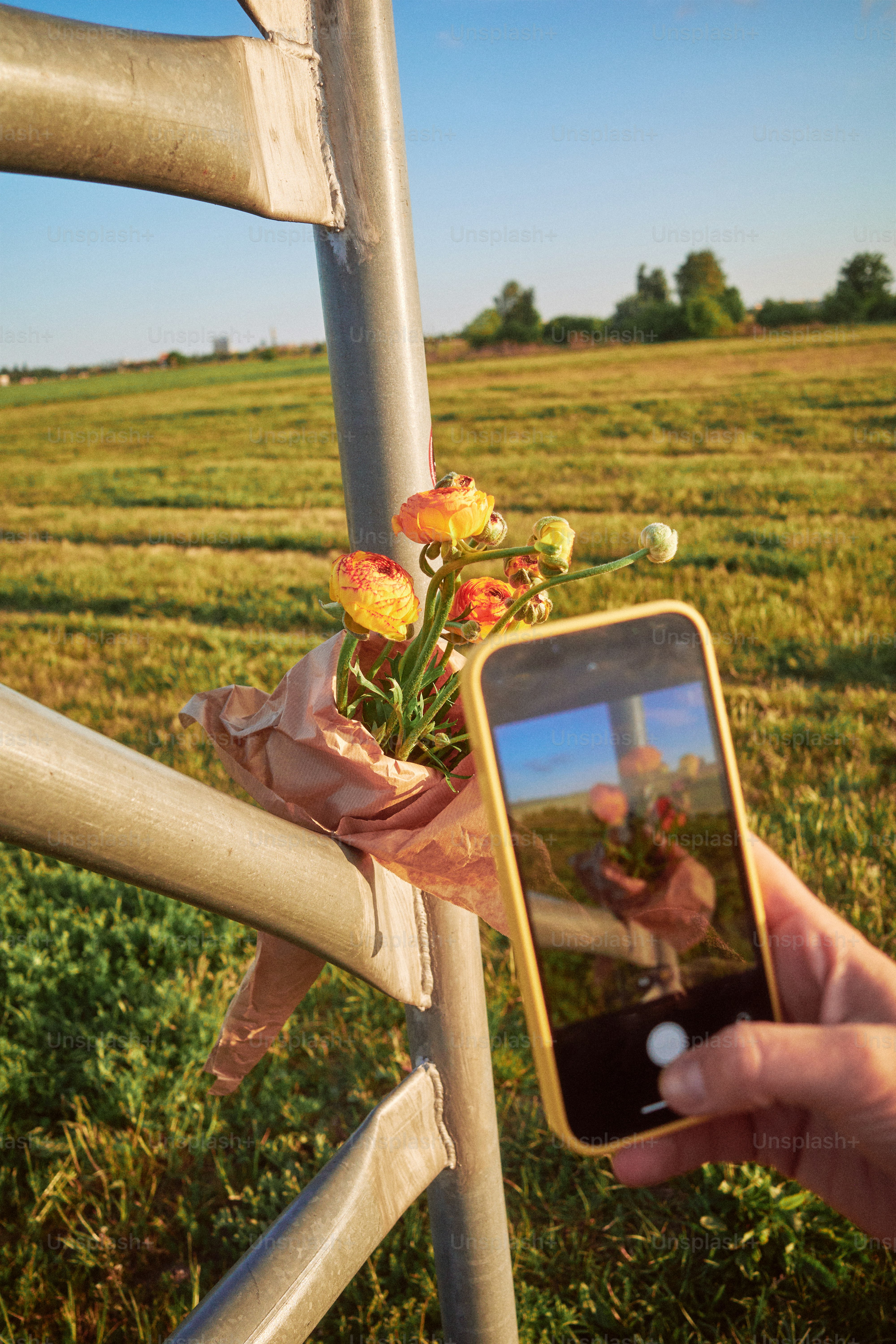 Prendre une photo de fleurs sur une clôture.