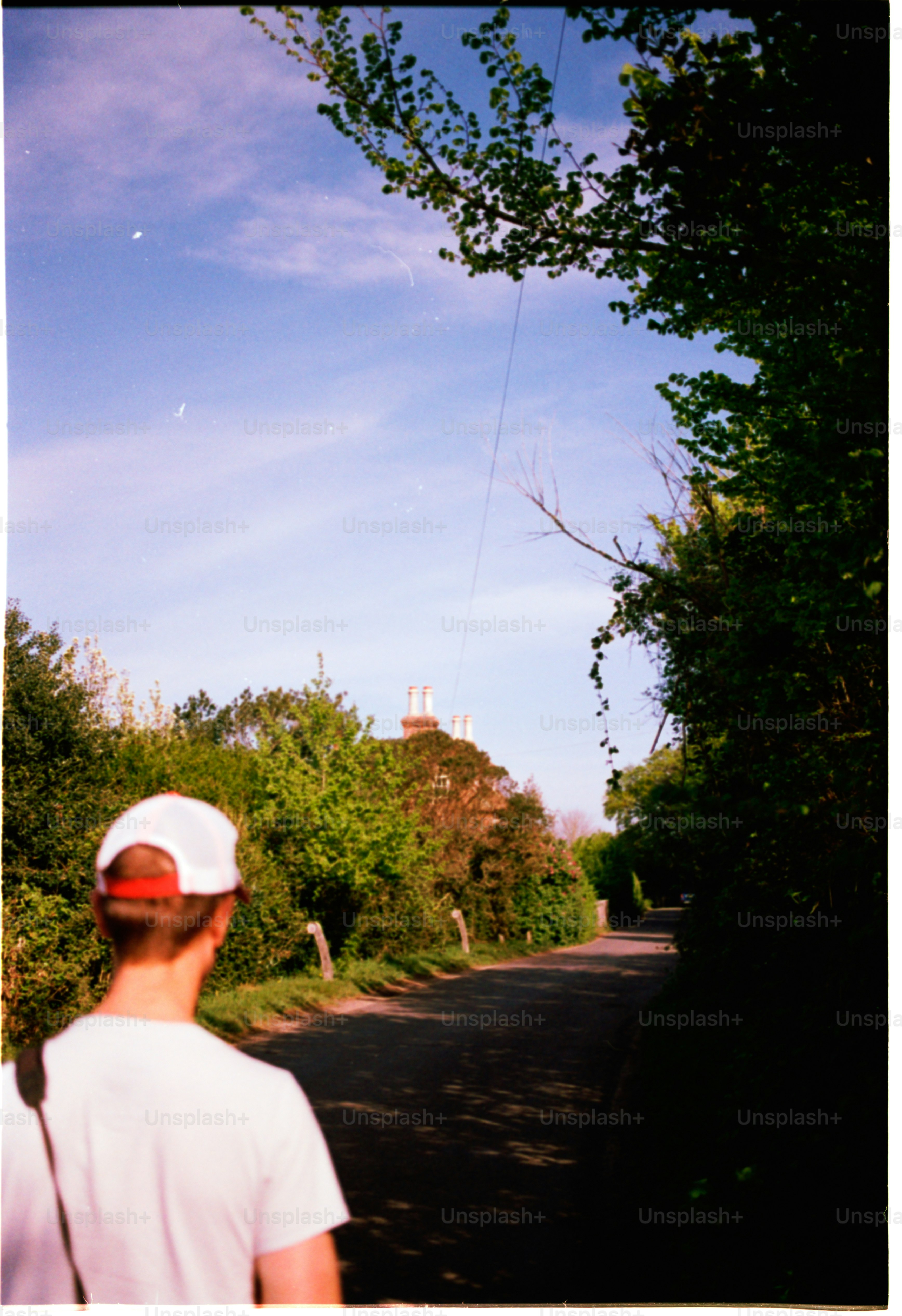 Person walks down a road with trees.