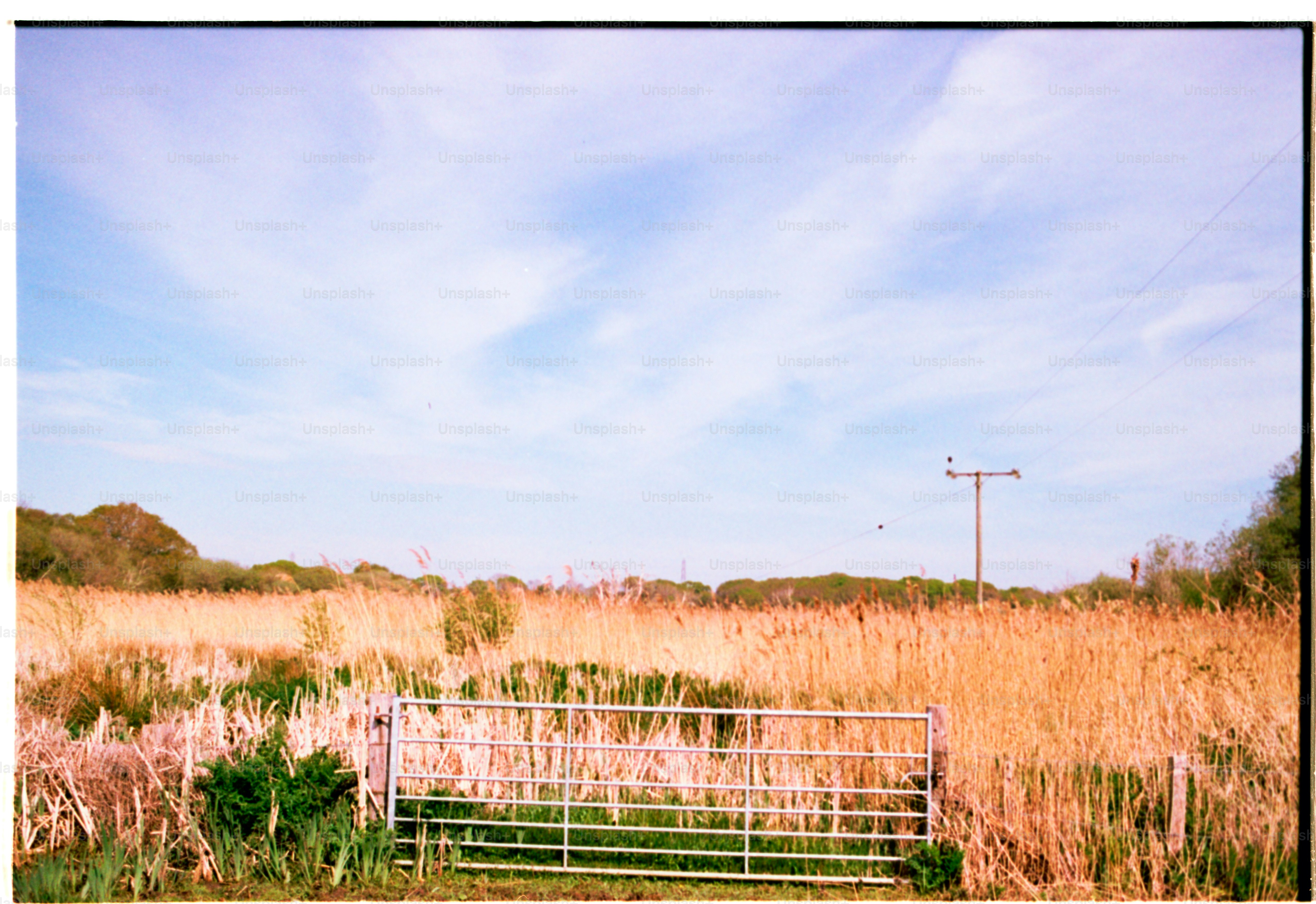 A metal gate opens to a field under a bright sky.