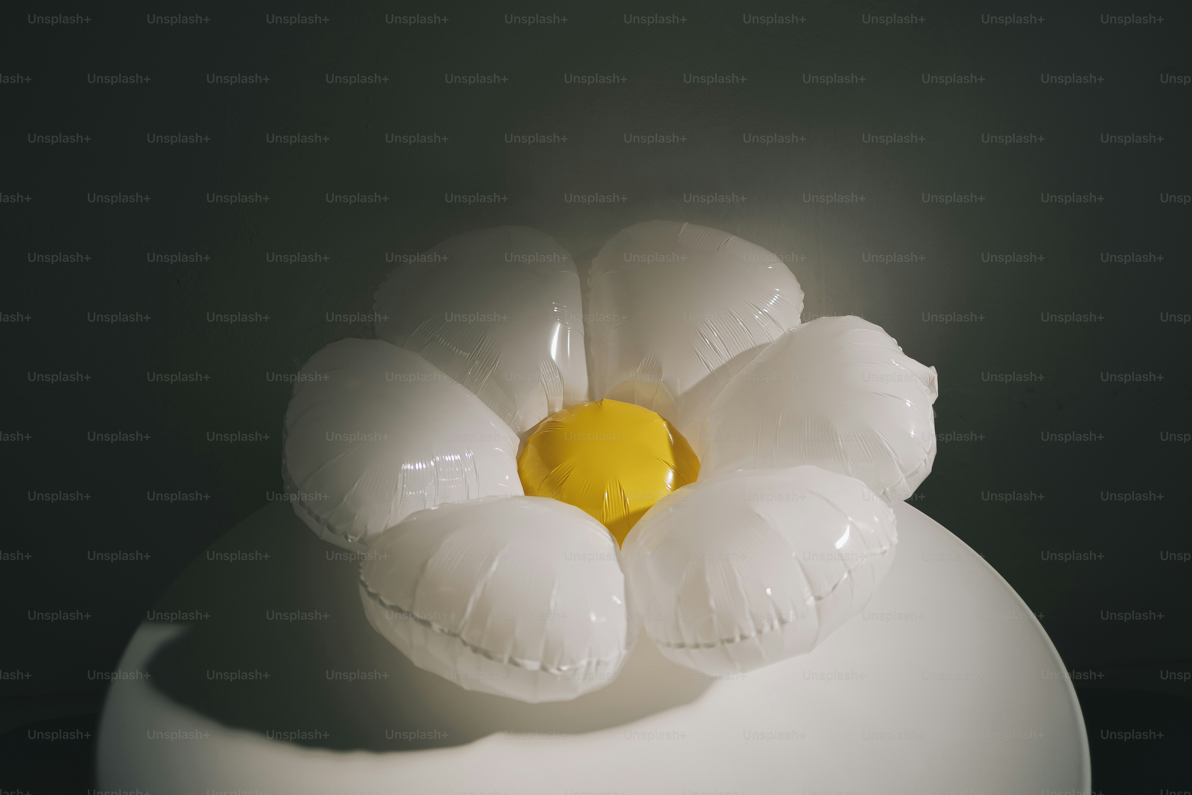 Une marguerite blanche se trouve au-dessus d’un œuf en forme d’œuf.
