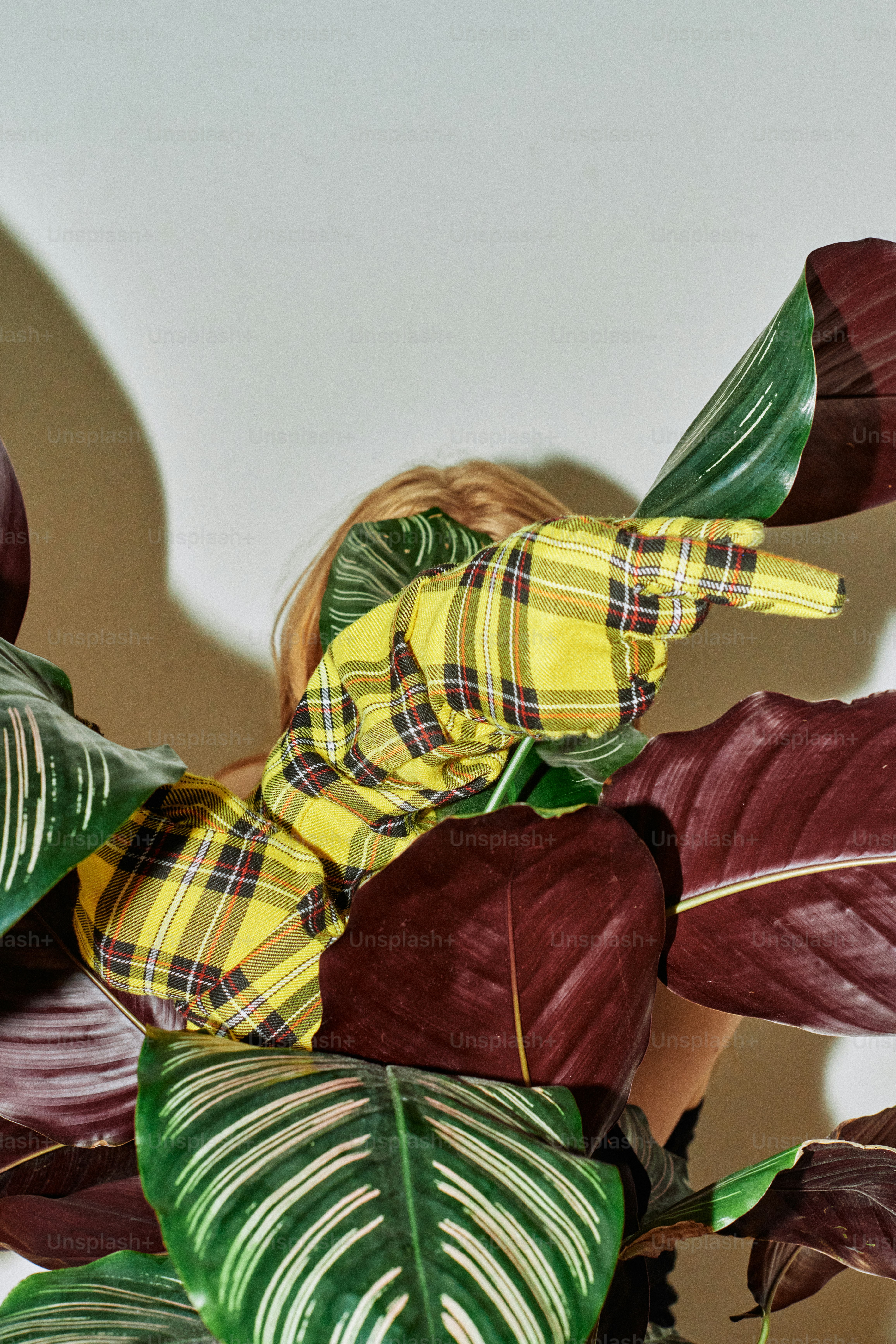 Woman hides behind plants wearing a plaid shirt.
