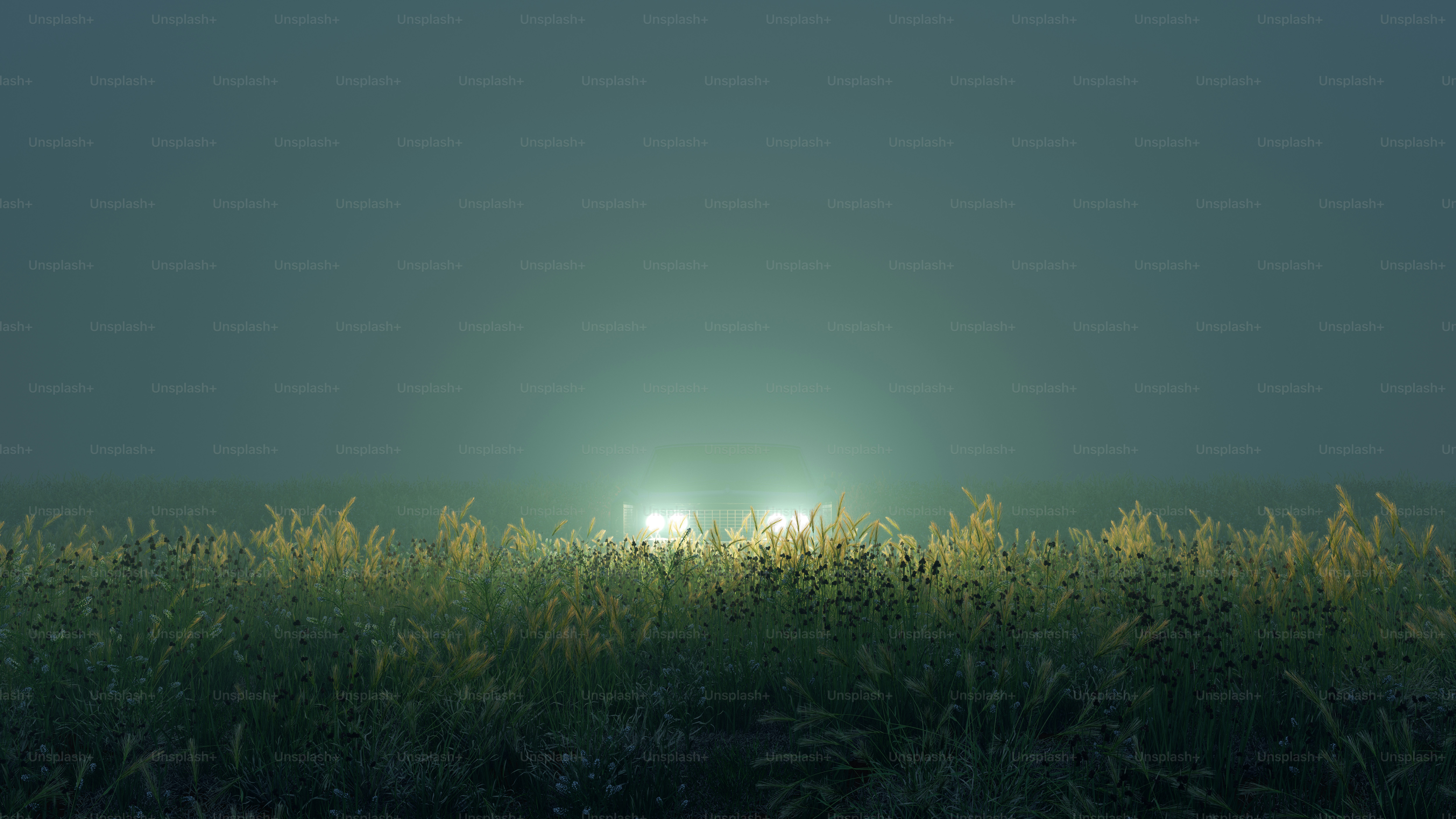 Les phares des voitures illuminent le champ brumeux la nuit.