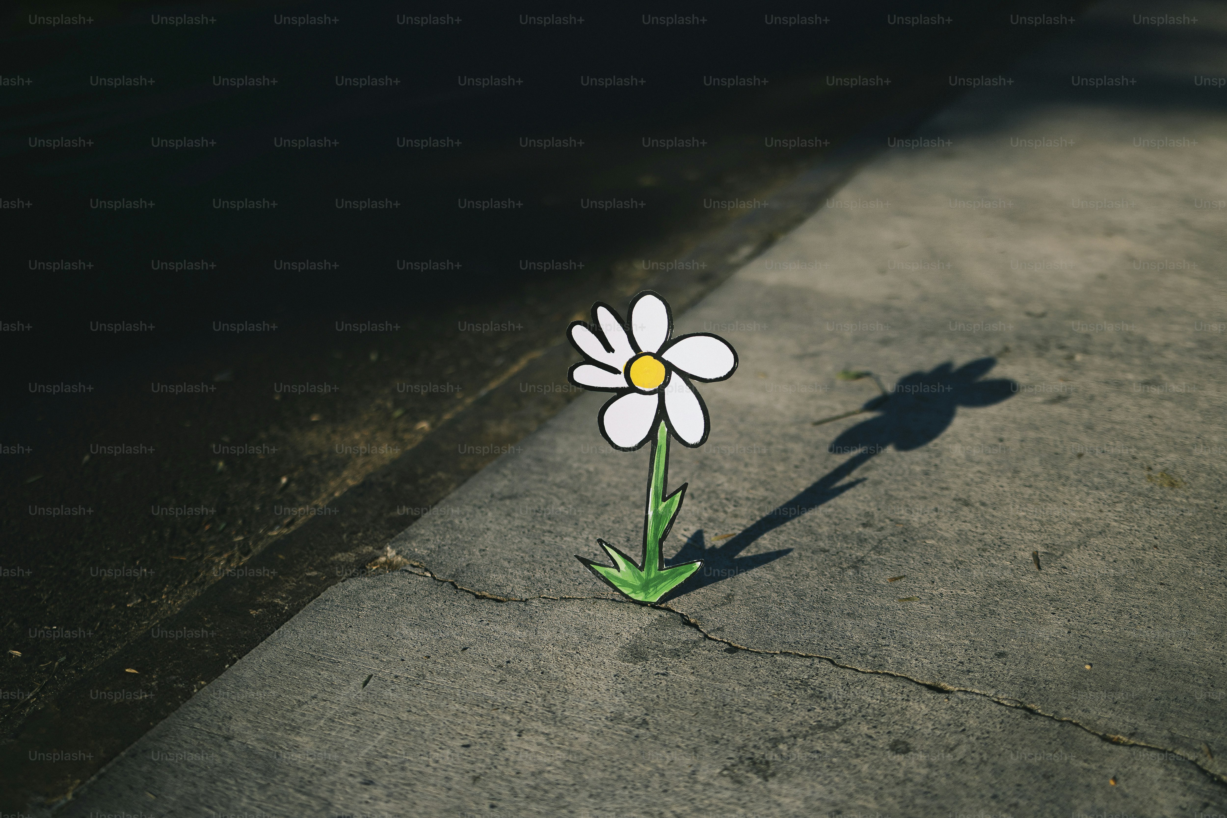 A painted daisy rises from a concrete crack.