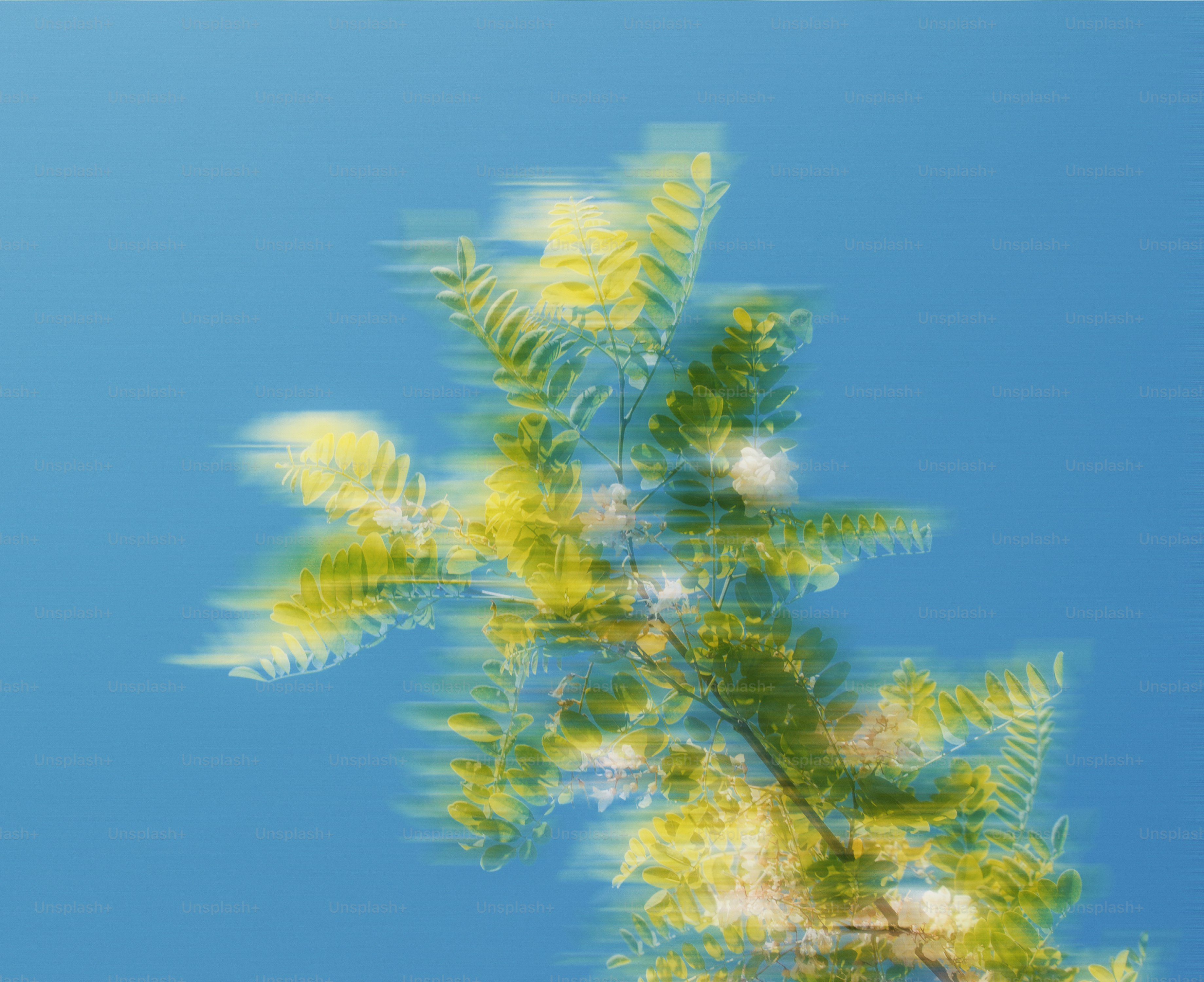 Blurred green leaves against a clear blue sky.
