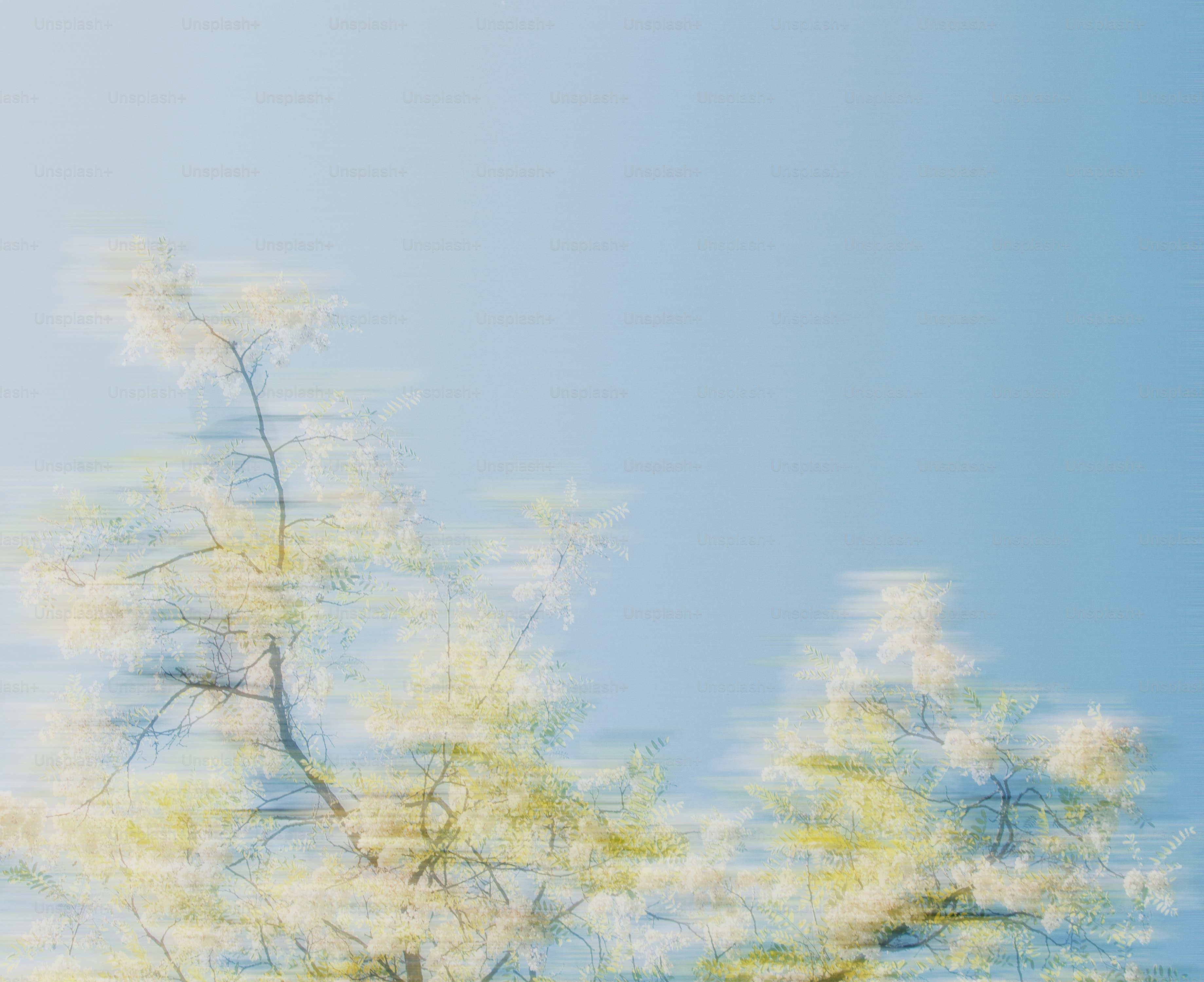 Branches of flowers against a clear blue sky.
