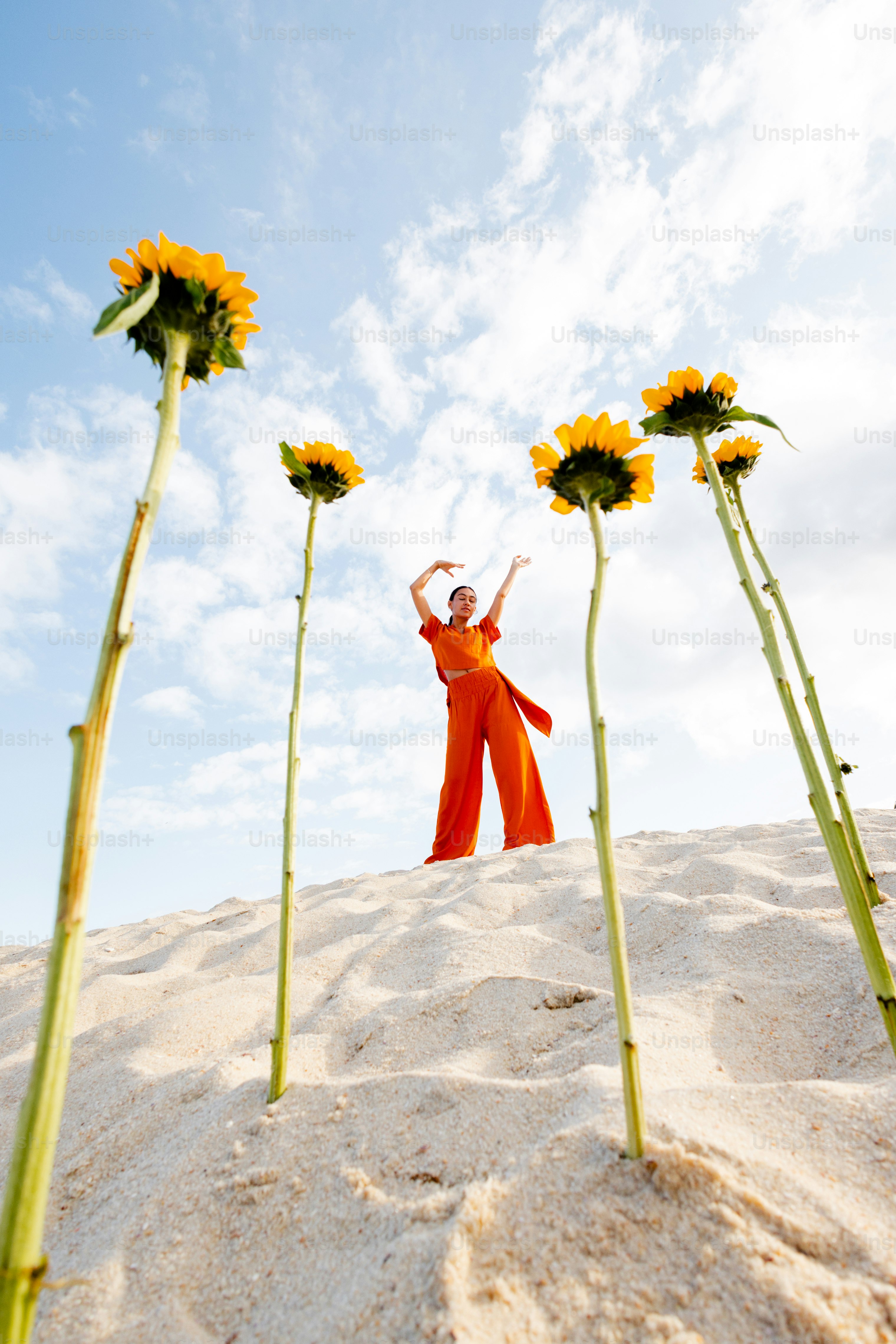 Woman poses on a sand dune surrounded by sunflowers.