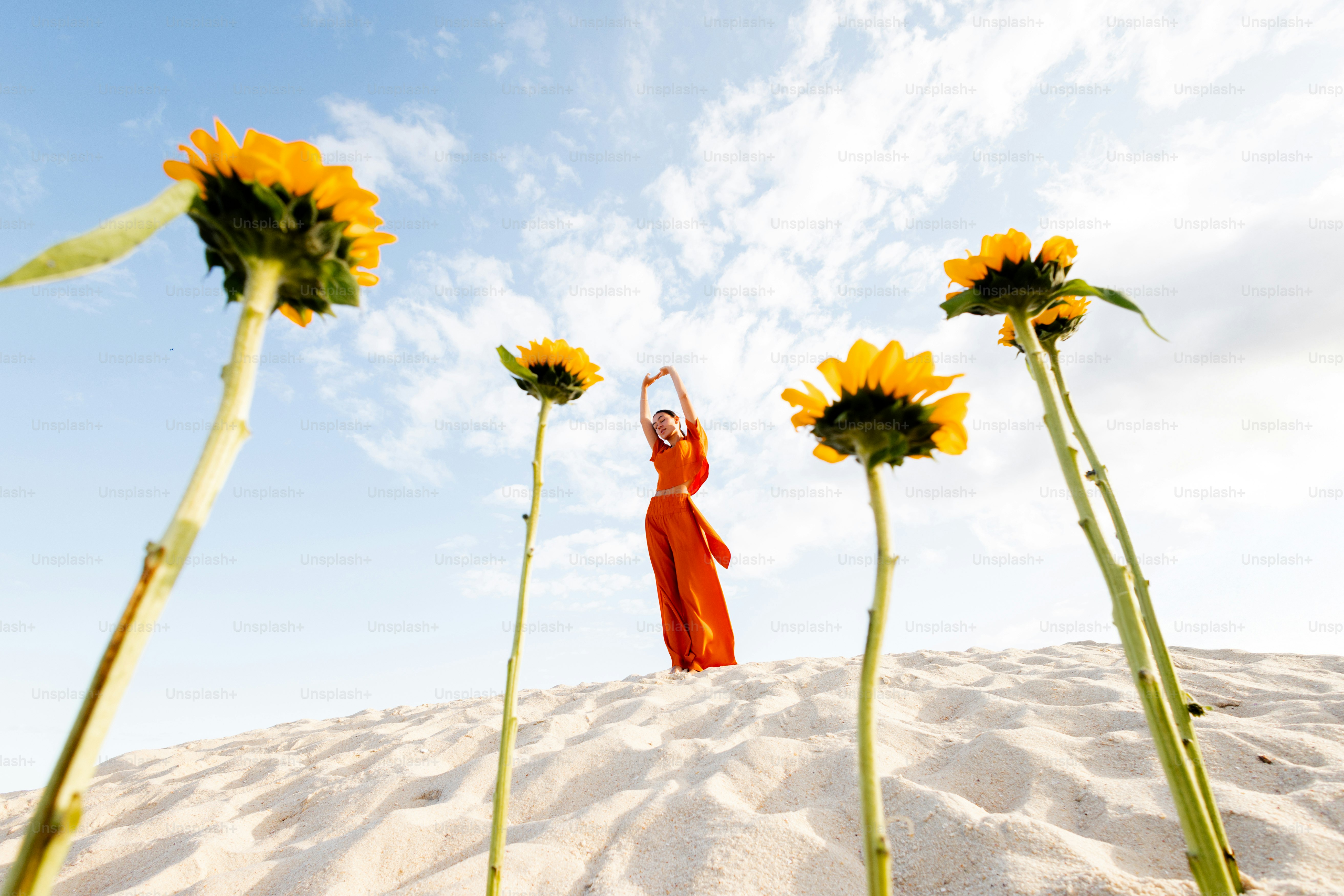 Woman dances among tall sunflowers on a sunny day.