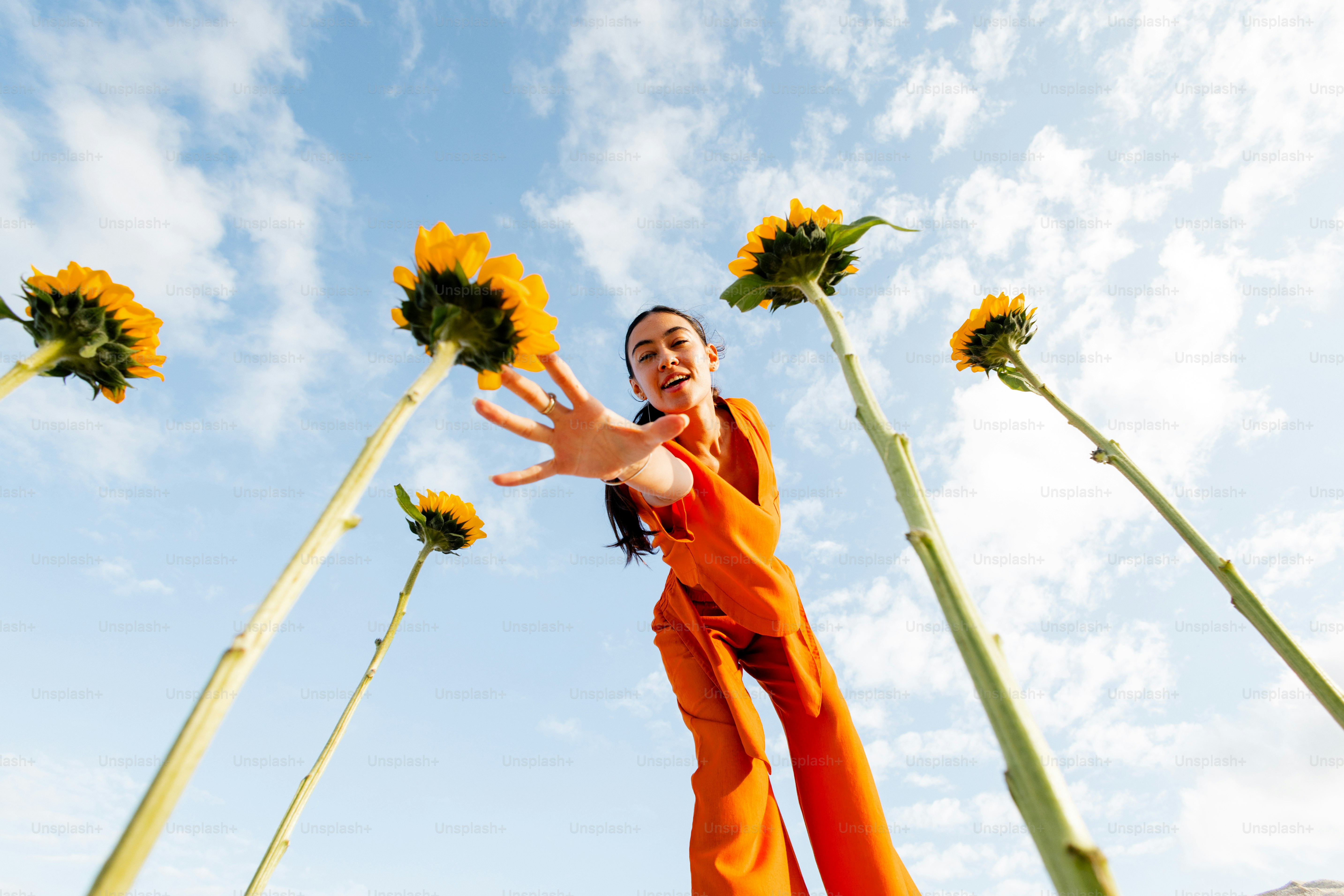 A woman reaches for sunflowers under a cloudy sky.